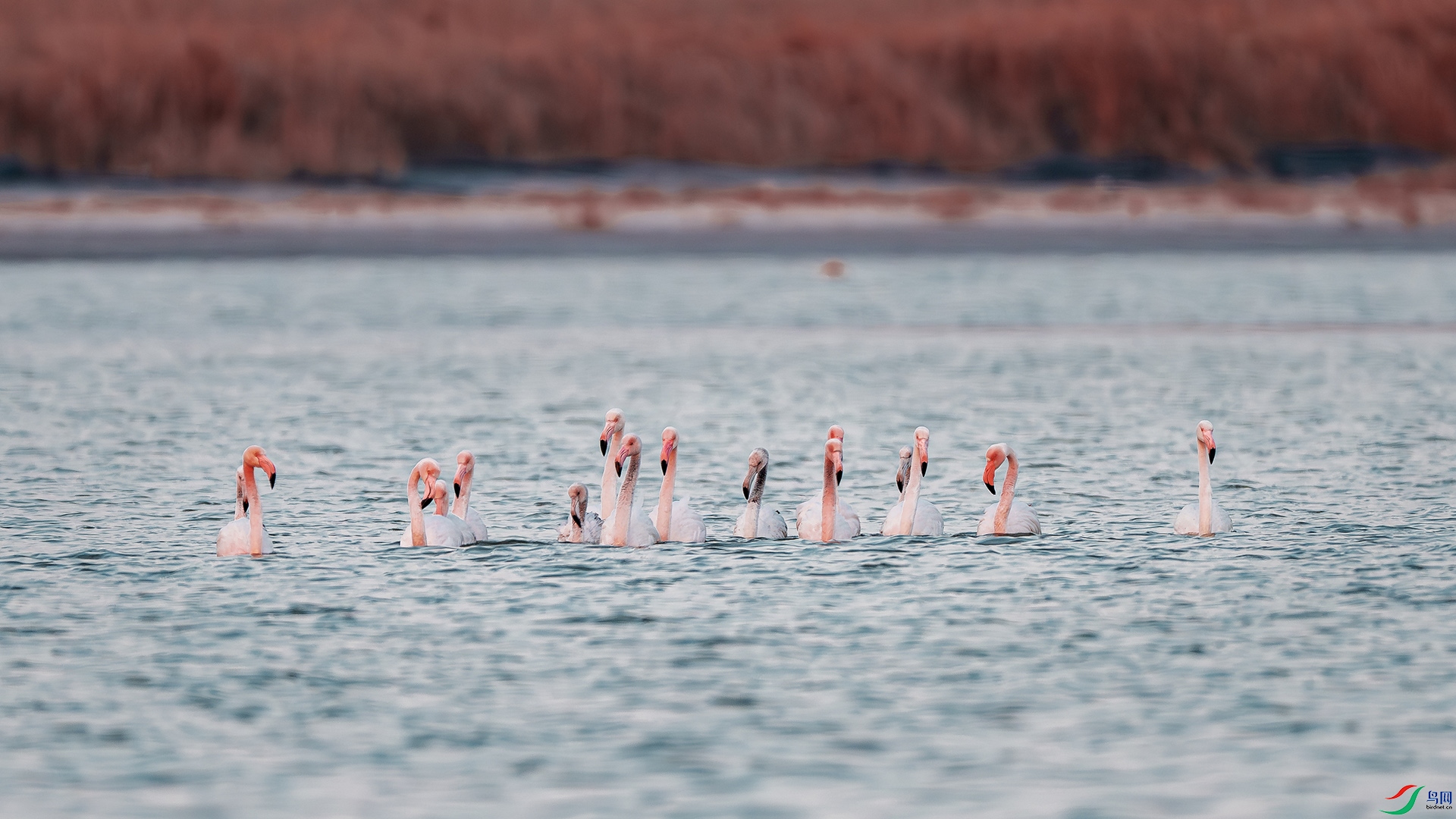 DSC_3737.jpg