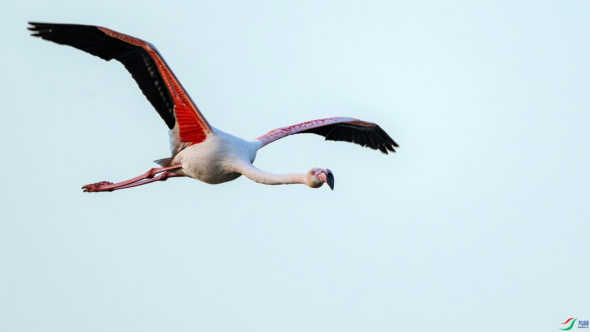 DSC_5694.jpg