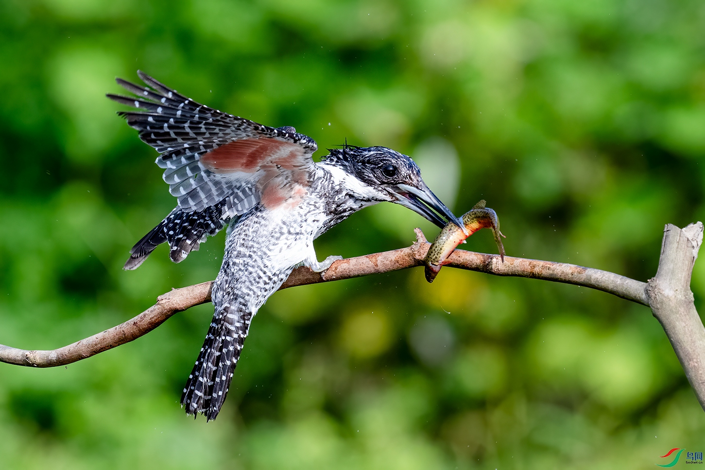 DSC_3911.jpg