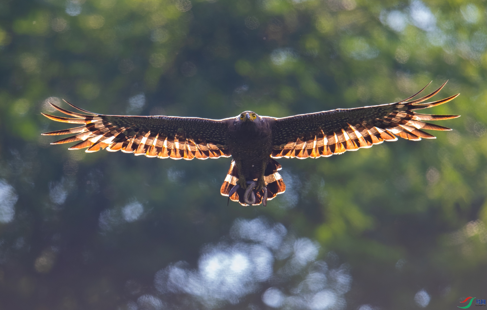 DSC_3243-DxO_DeepPRIME XD2s_XD-2.jpg