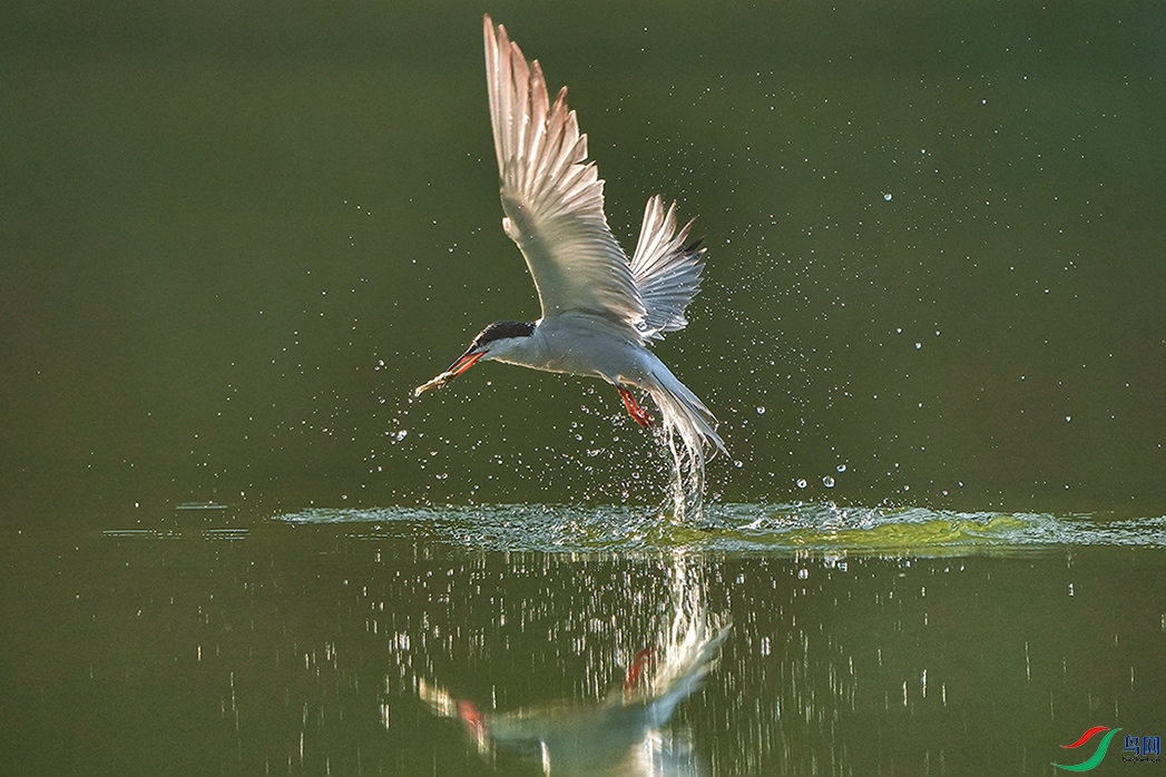 DSC04577 ����.jpg