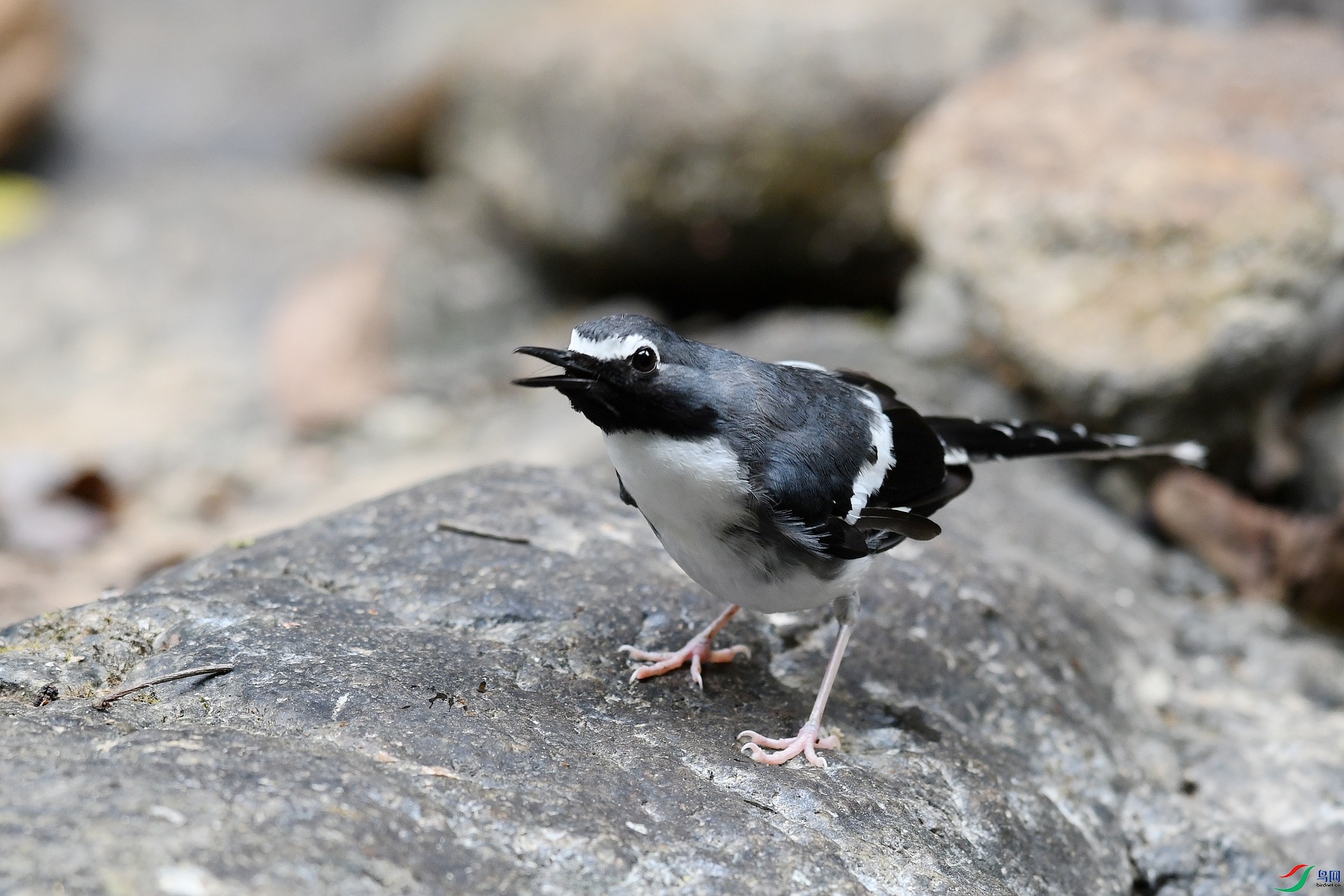 DSC_9129.jpg