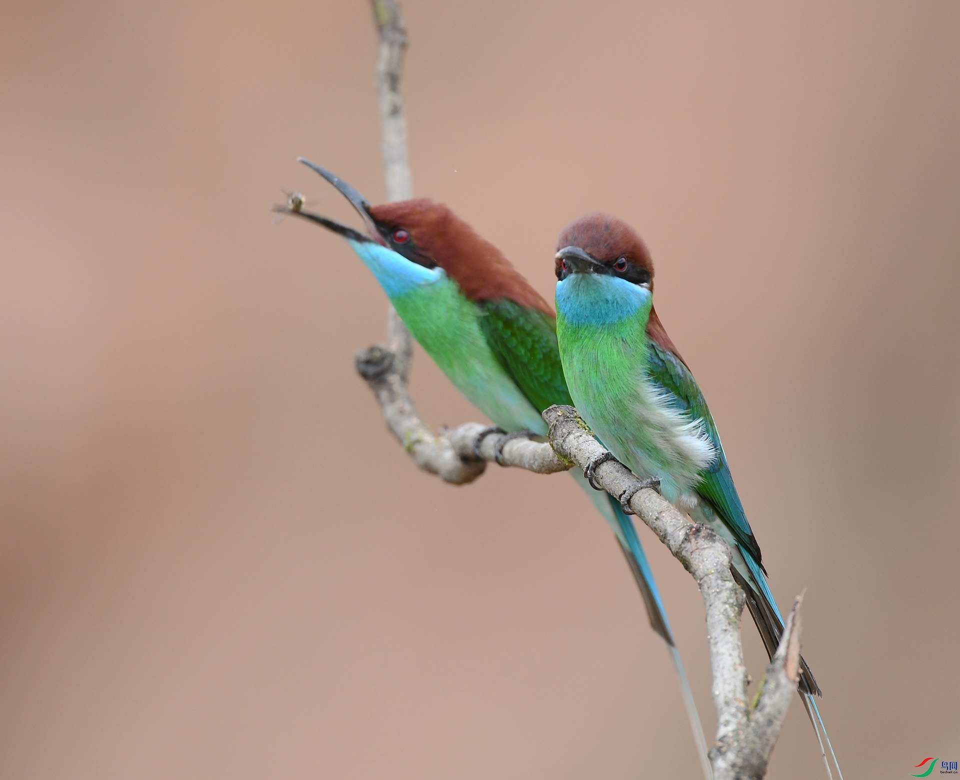 DSC_9209.jpg