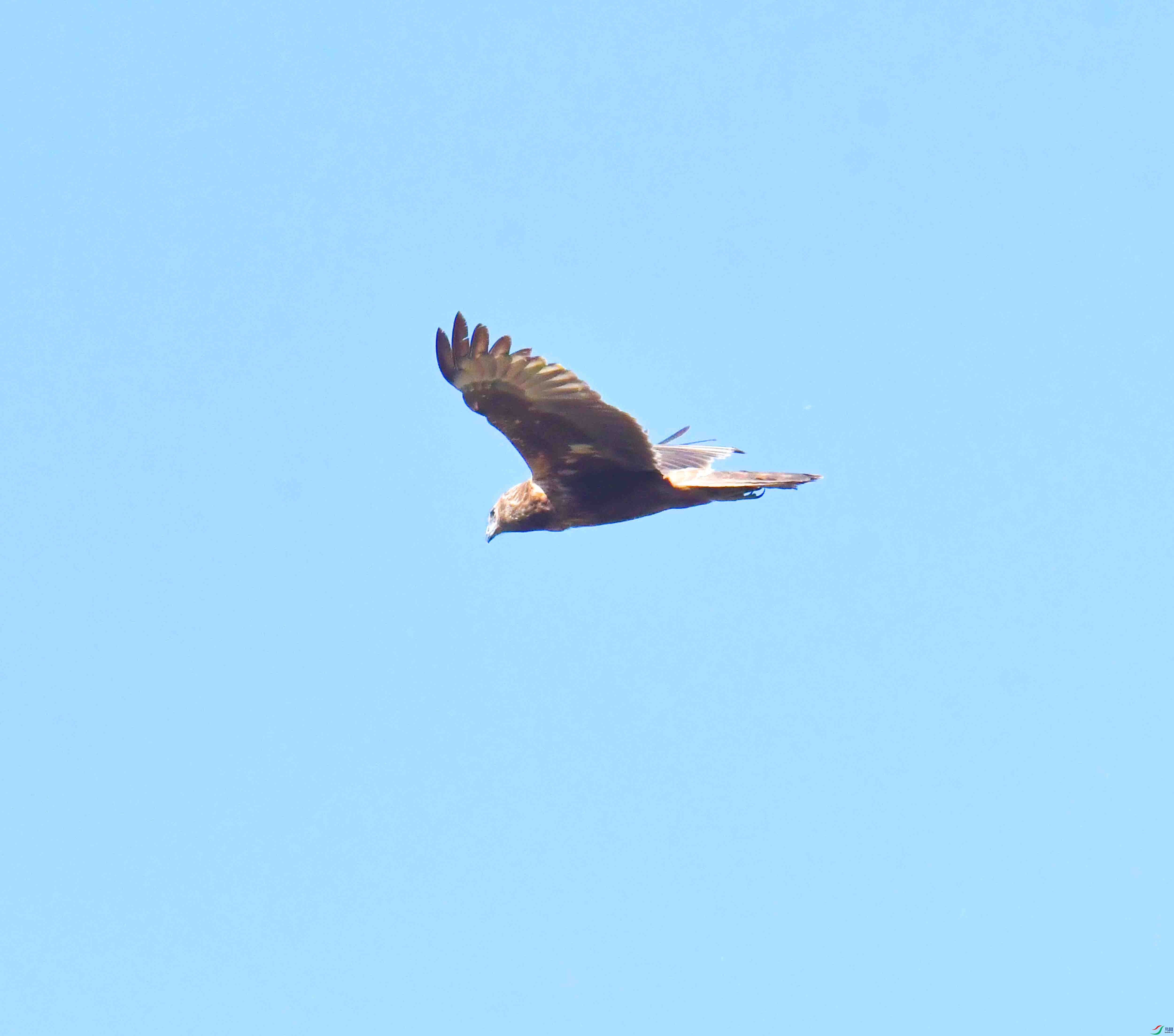 DSC_8233.JPG