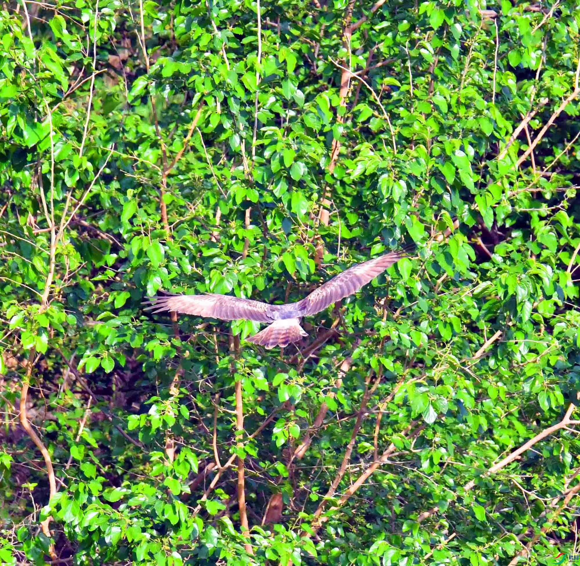 DSC_9704.JPG