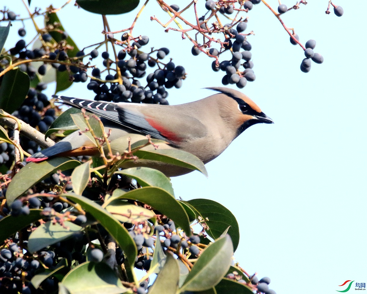 A0144 С̫ƽ��-25.JPG