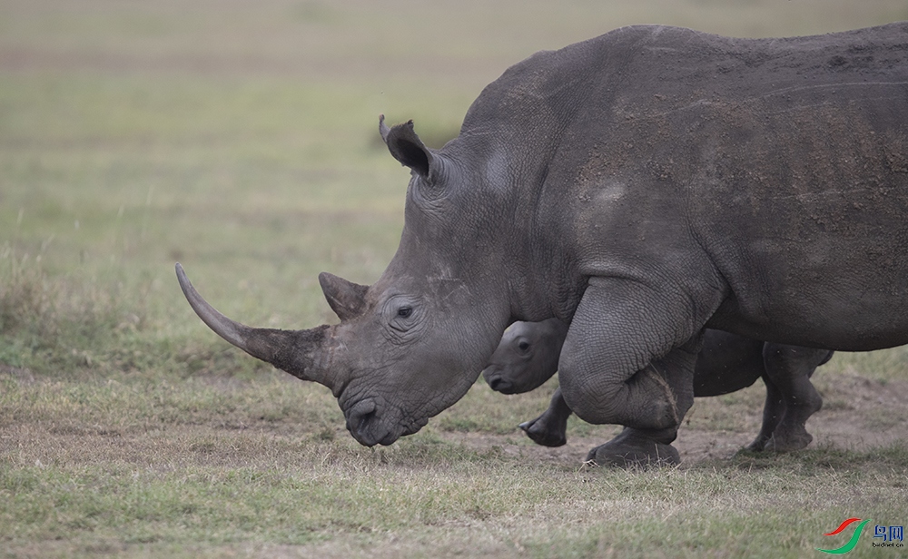 ����Ϭţ (3).jpg