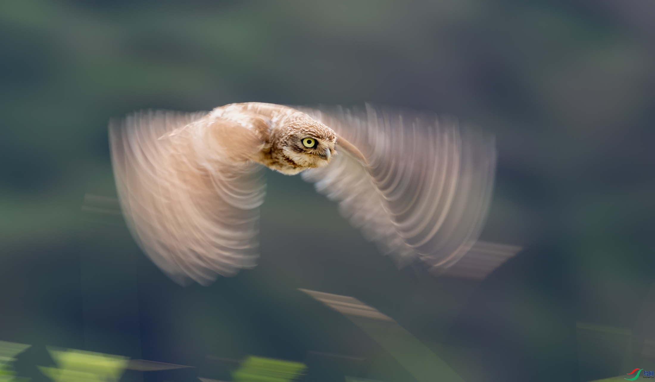 ���Ƹ�С�^