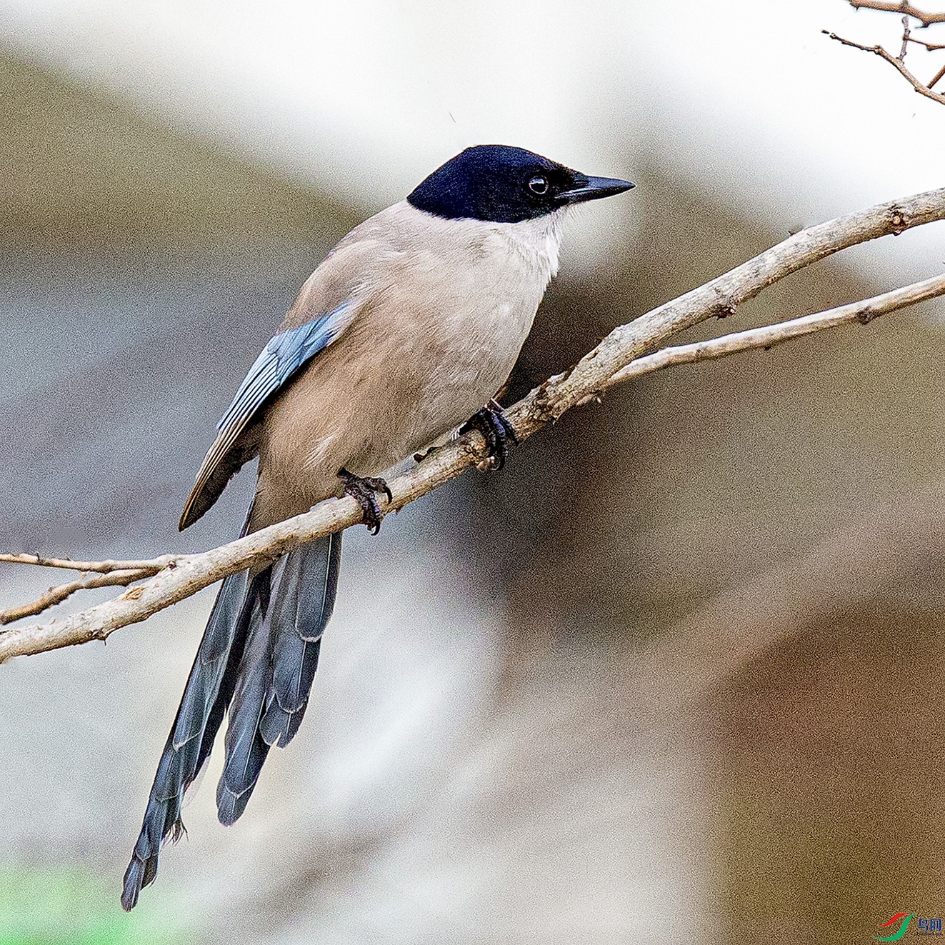 _90I8727 ���� 2.jpg