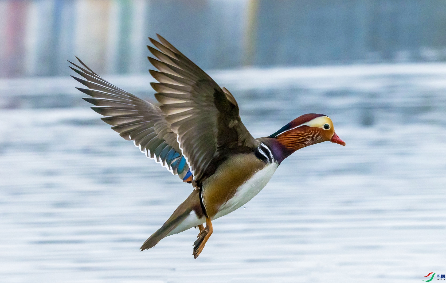 2N1A8613 ԧ��.jpg