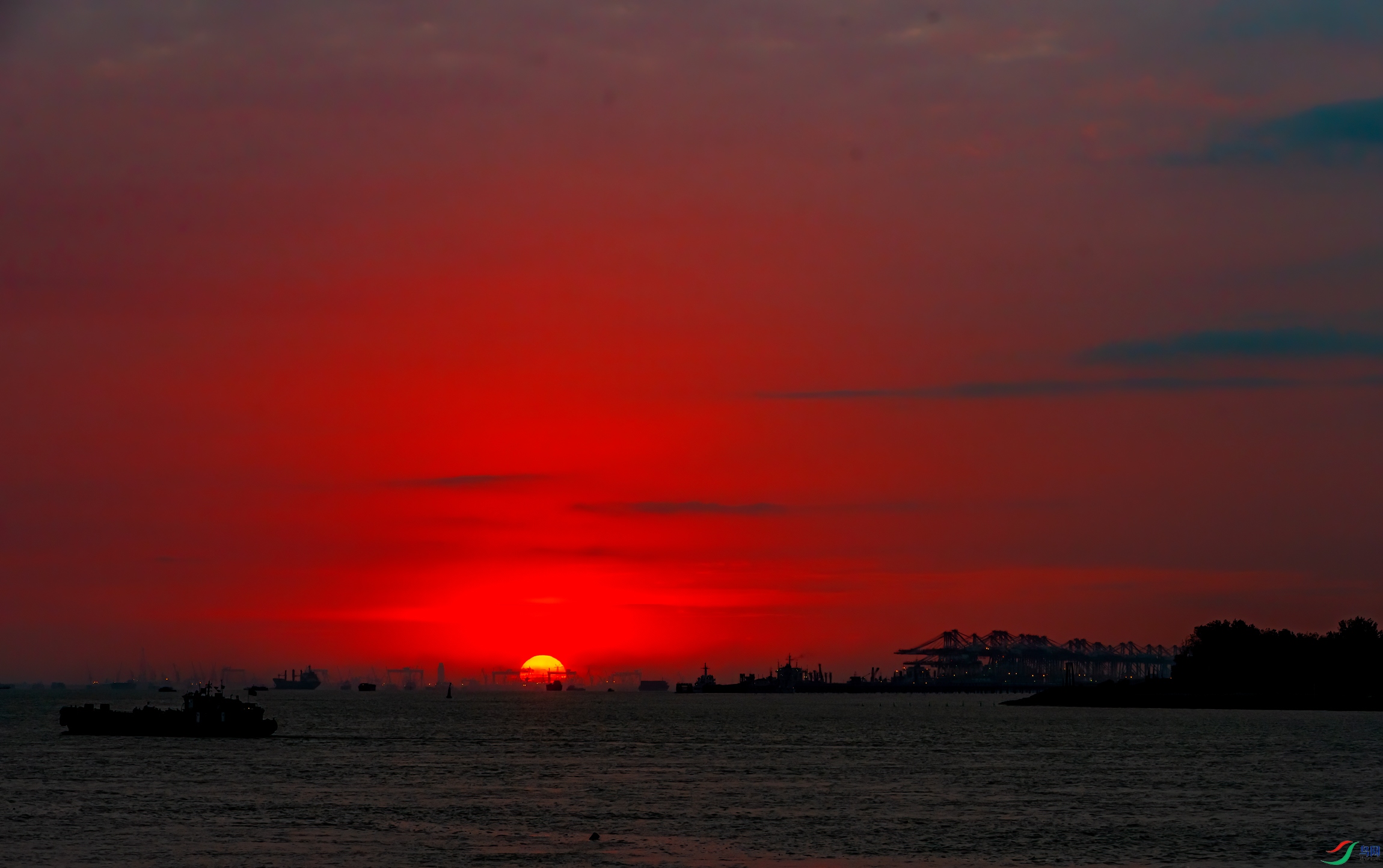 DSC_7164-11.jpg