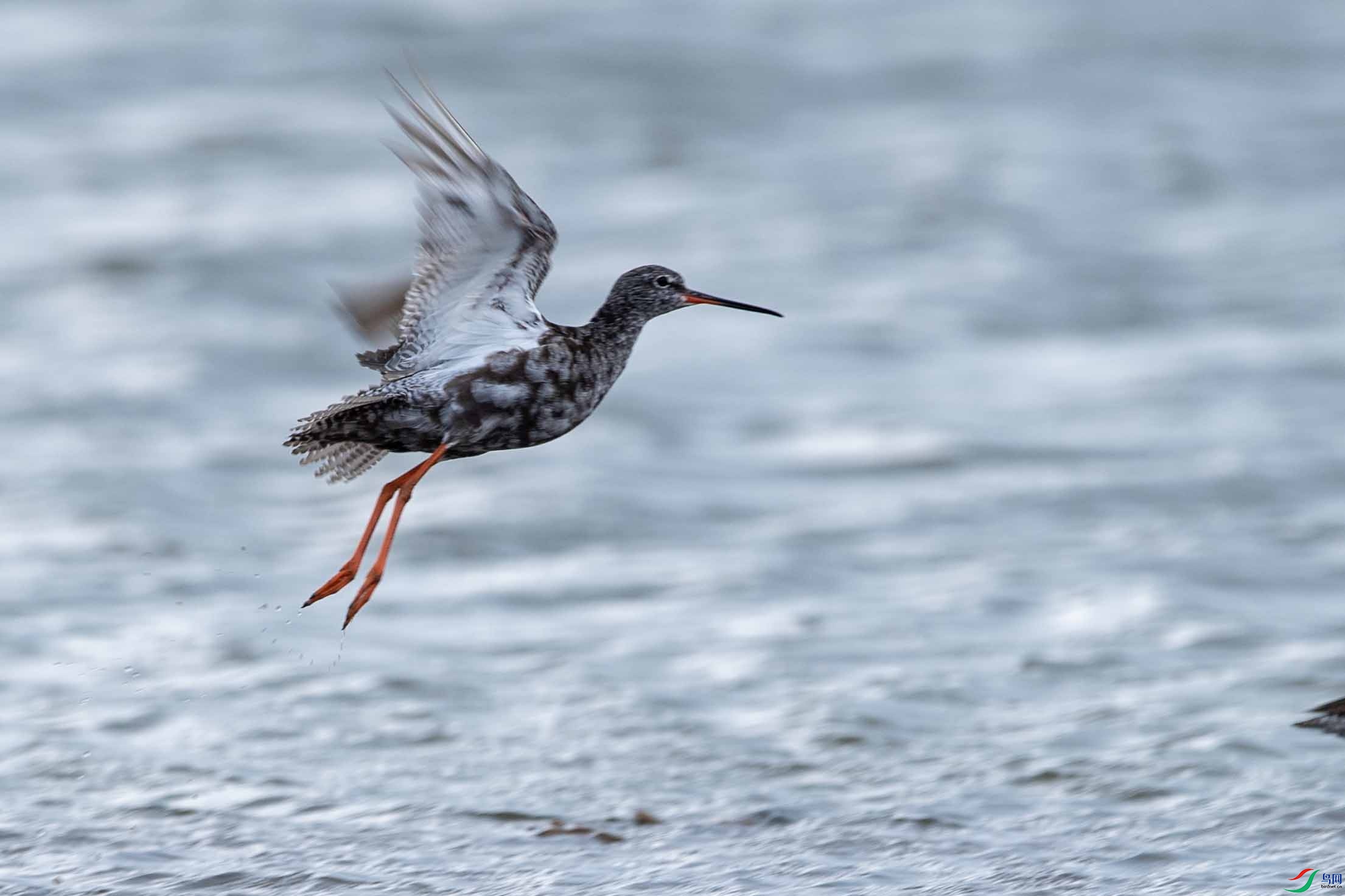 DSC_3567 ����.jpg