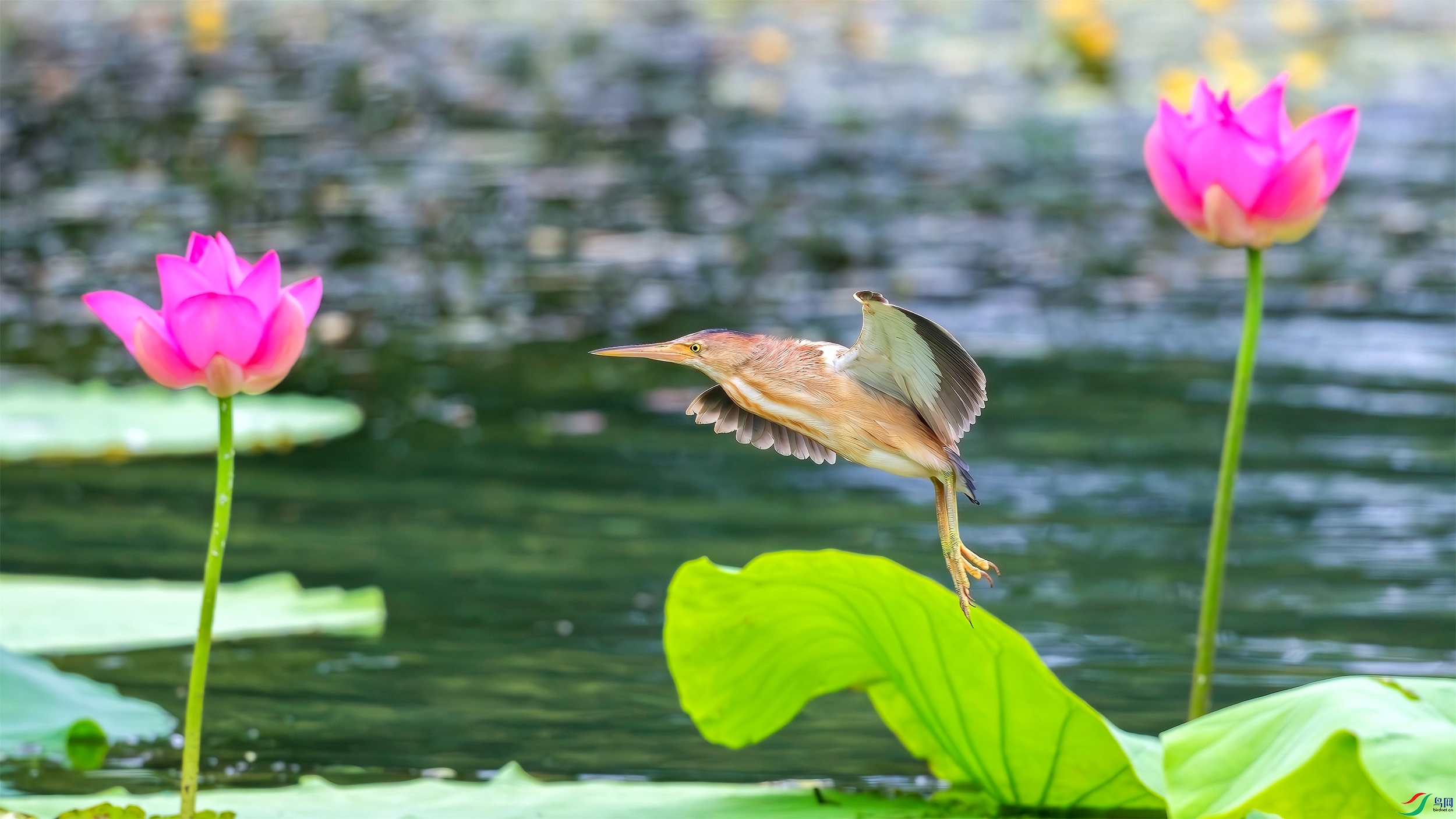 _DSC5744 ����_����.jpg