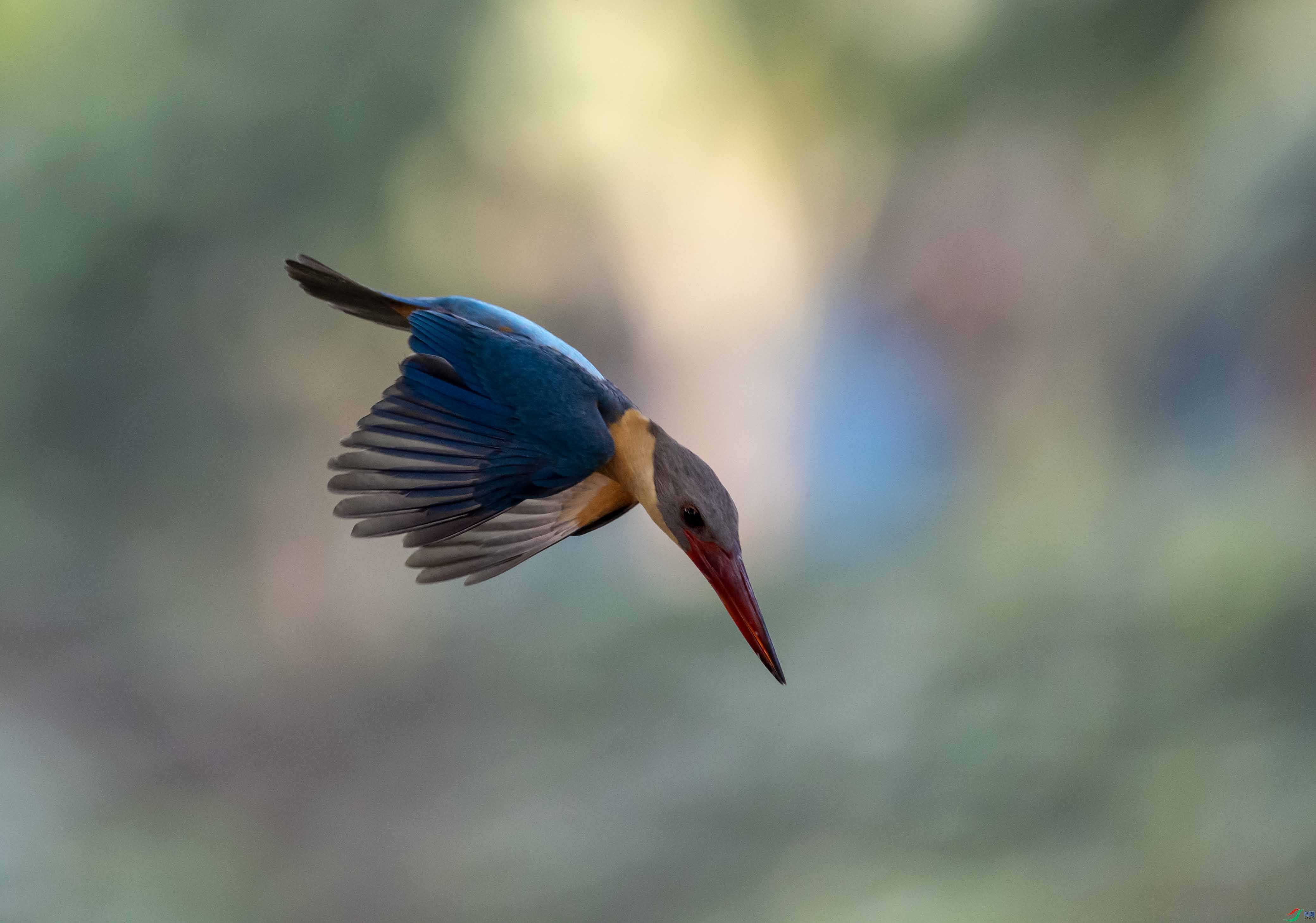 1-xt4L2A2083 ����.jpg