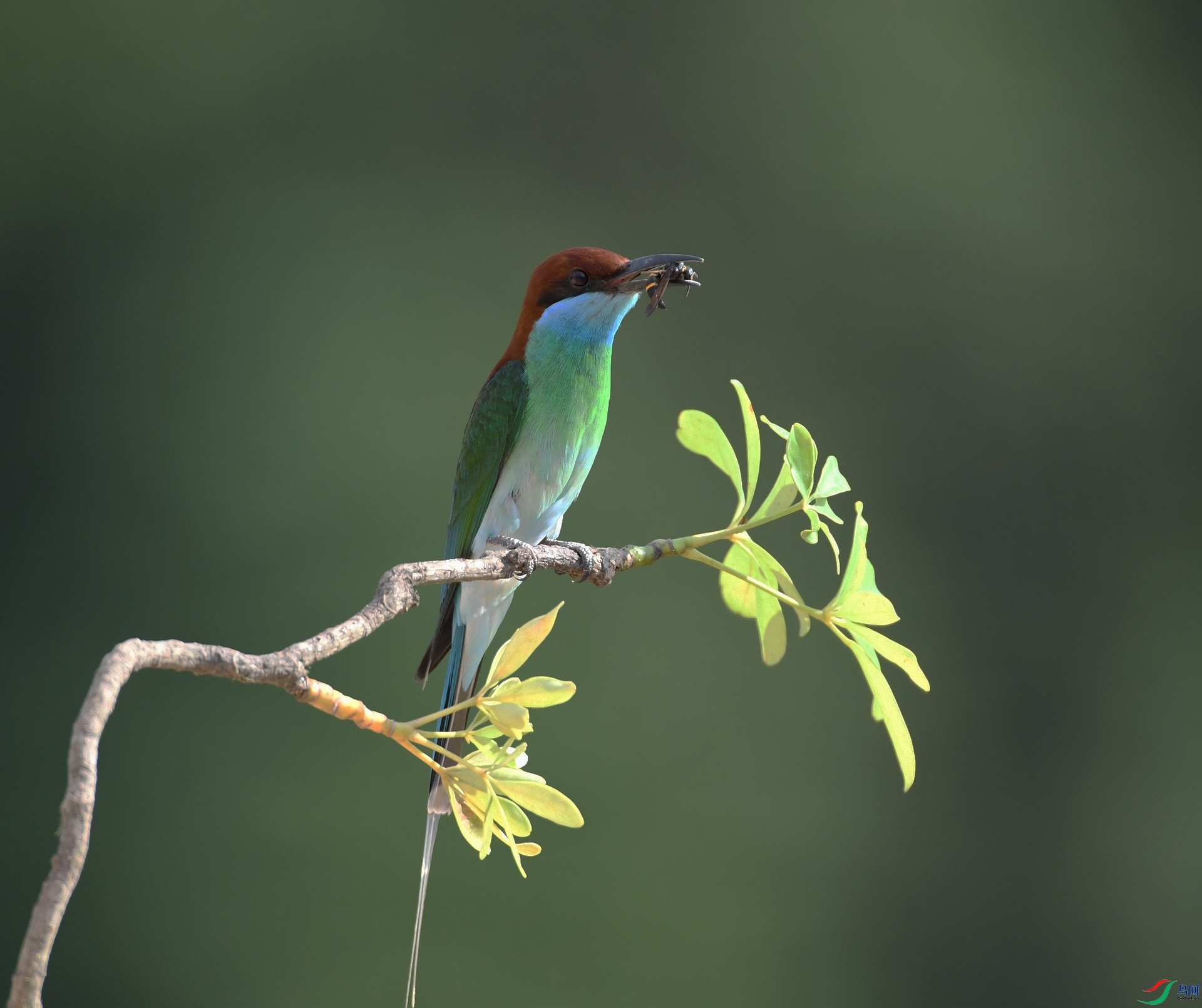 DSC_5312.jpg