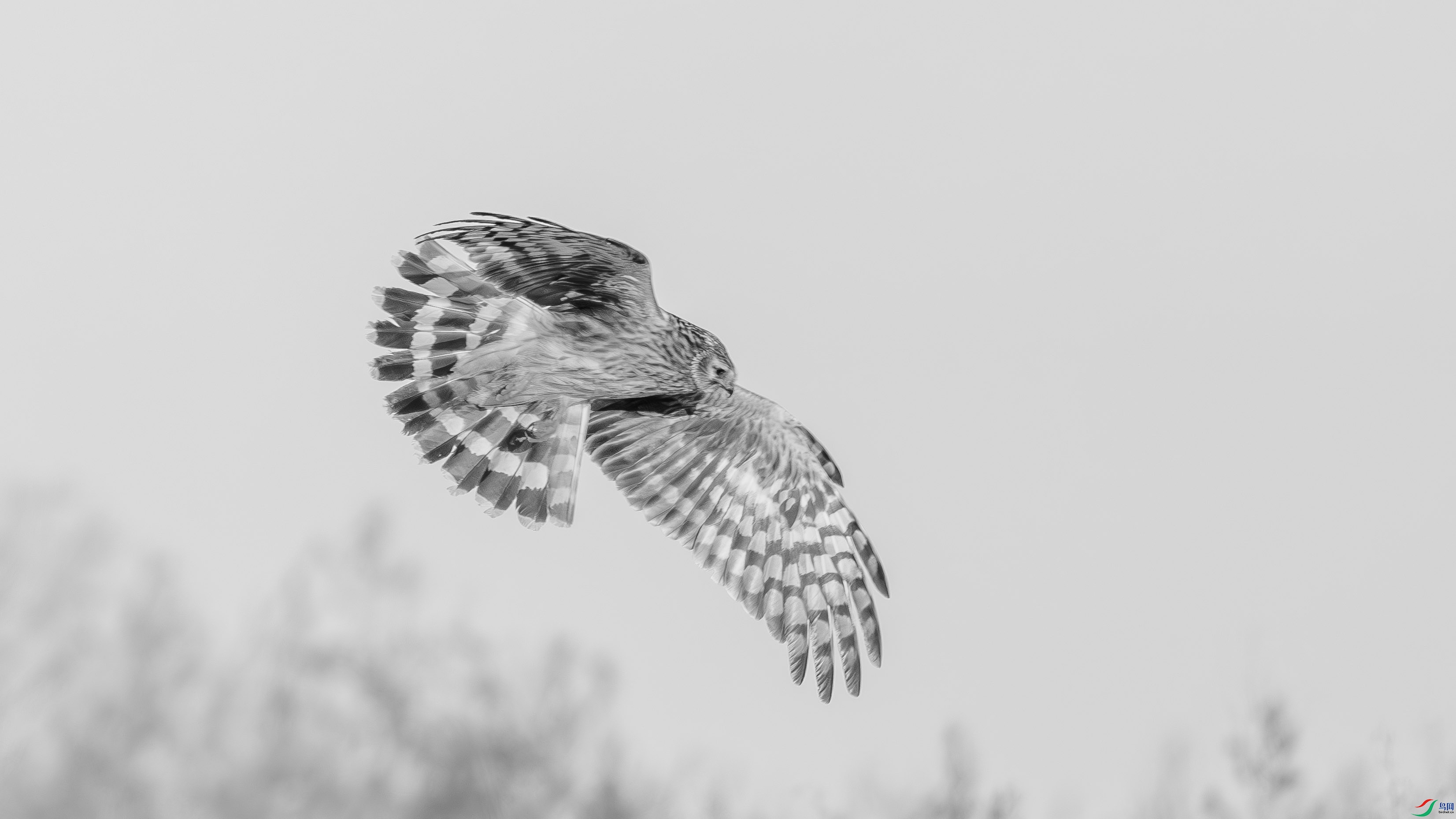 DSC05122-h.jpg