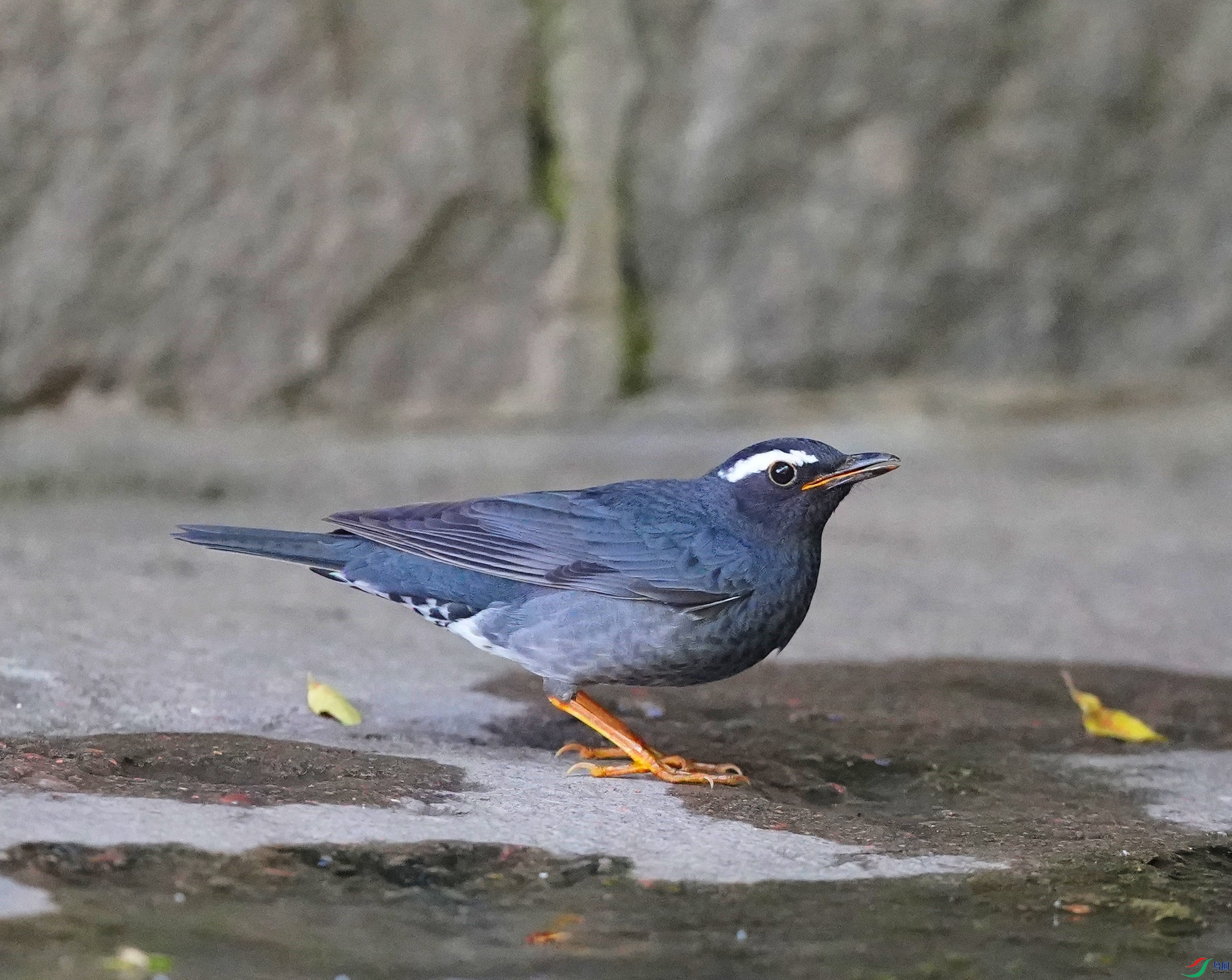 DSC05679.JPG