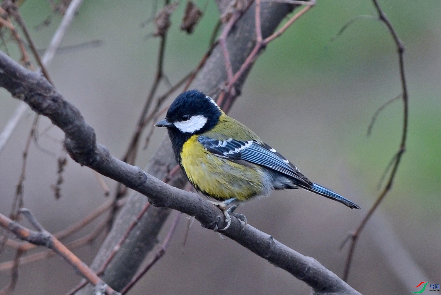 2025072306.jpg