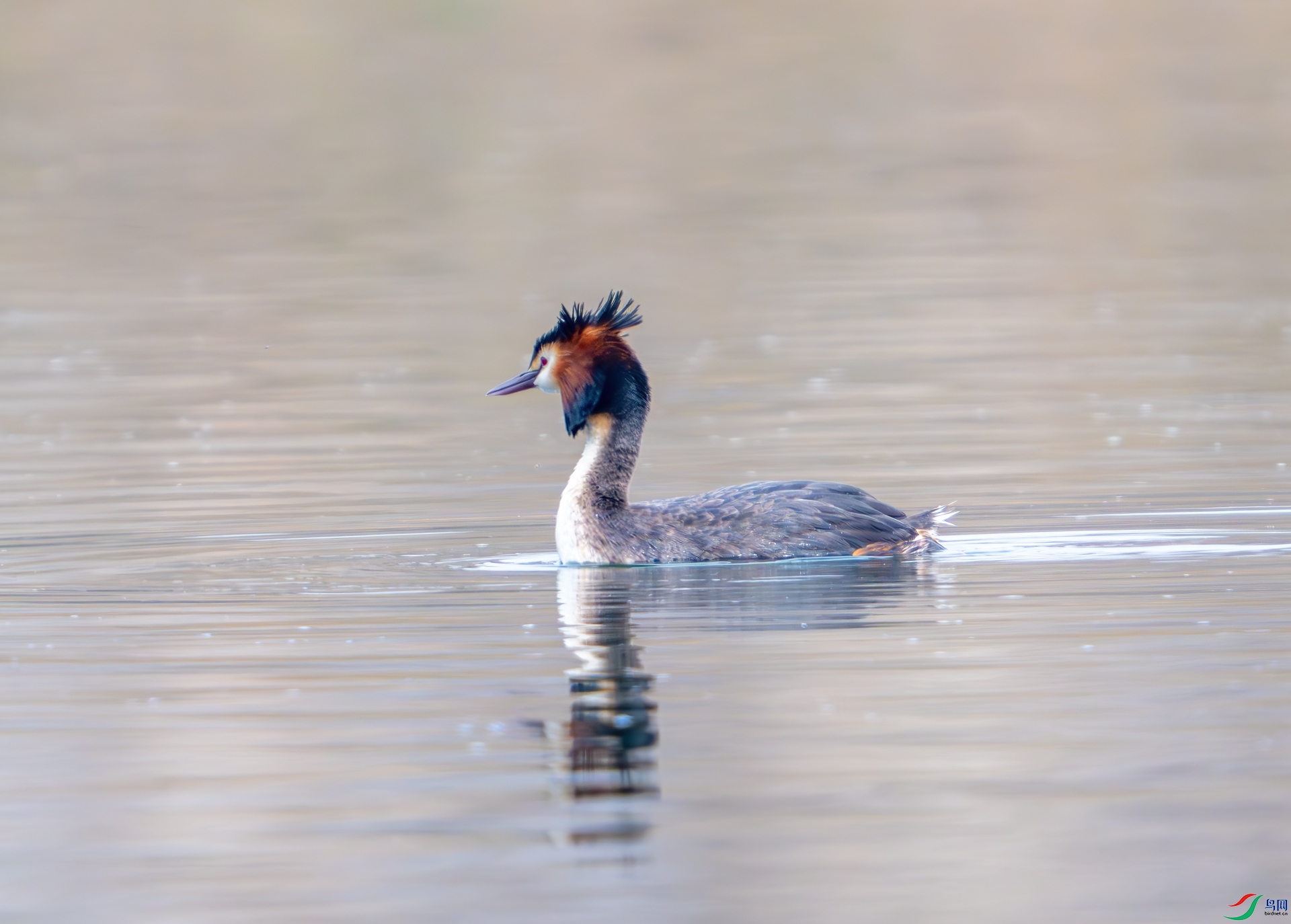 DSC_0615.jpg