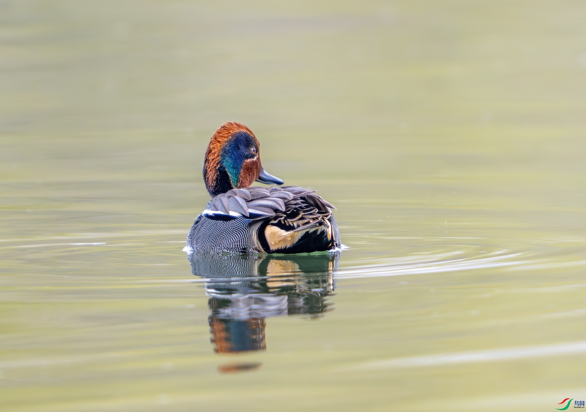 DSC_0840.jpg