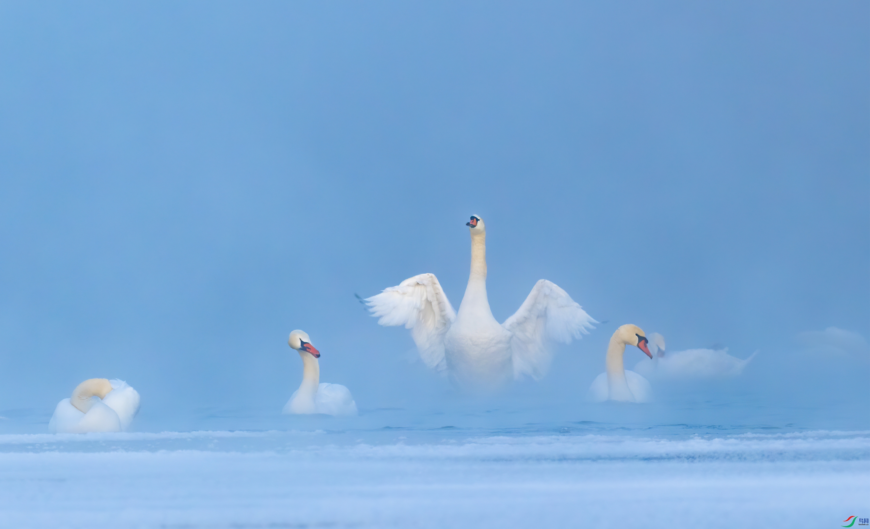 DSC_1295-21.jpg
