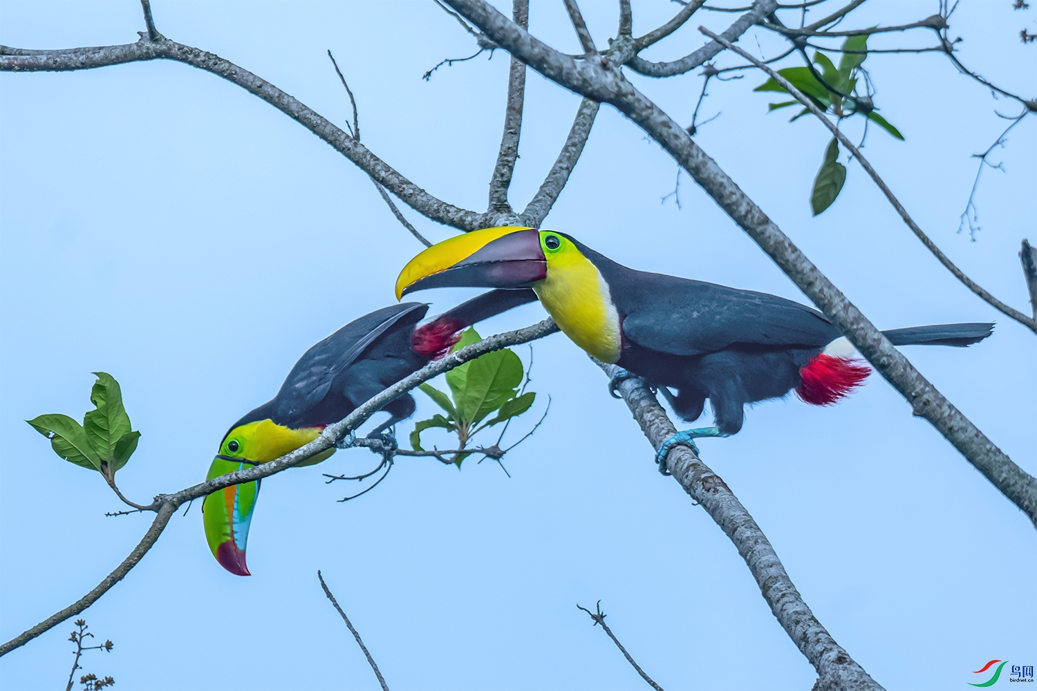 DSC_9098.jpg