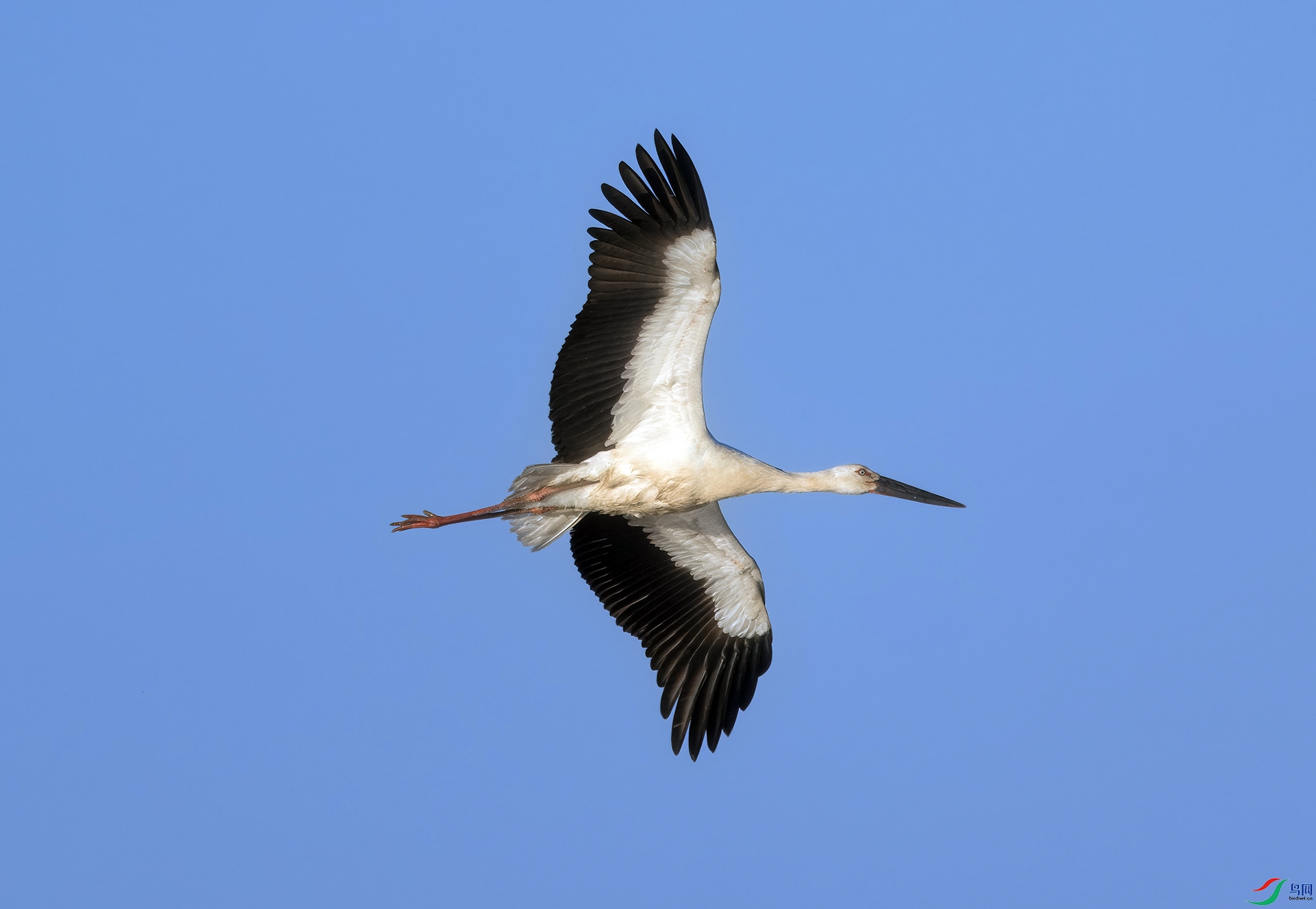 DSC02451-topaz-denoiseraw-sharpen ����.jpg