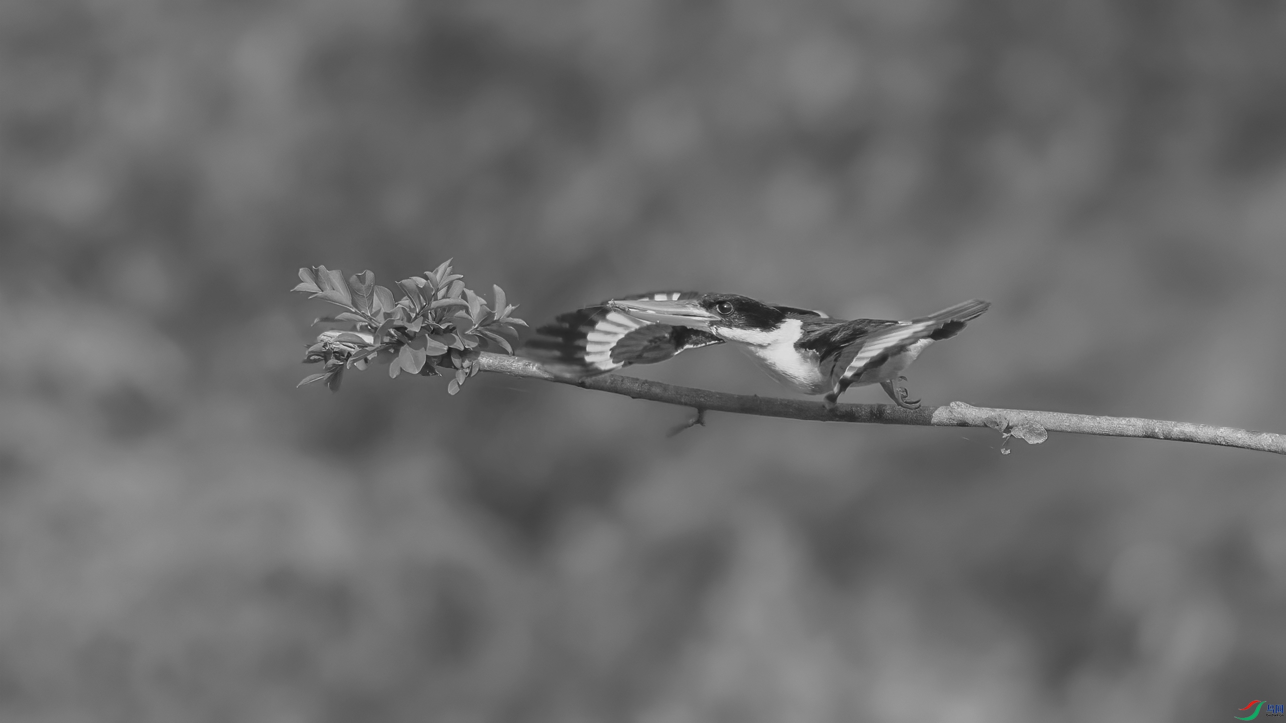 G81A5241 ����.jpg