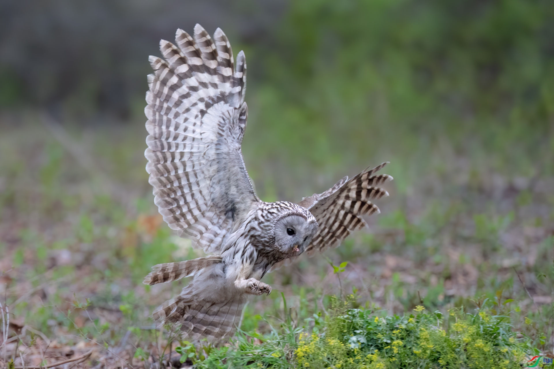 DSC_2869sen2025-5-2-139-�༭.jpg