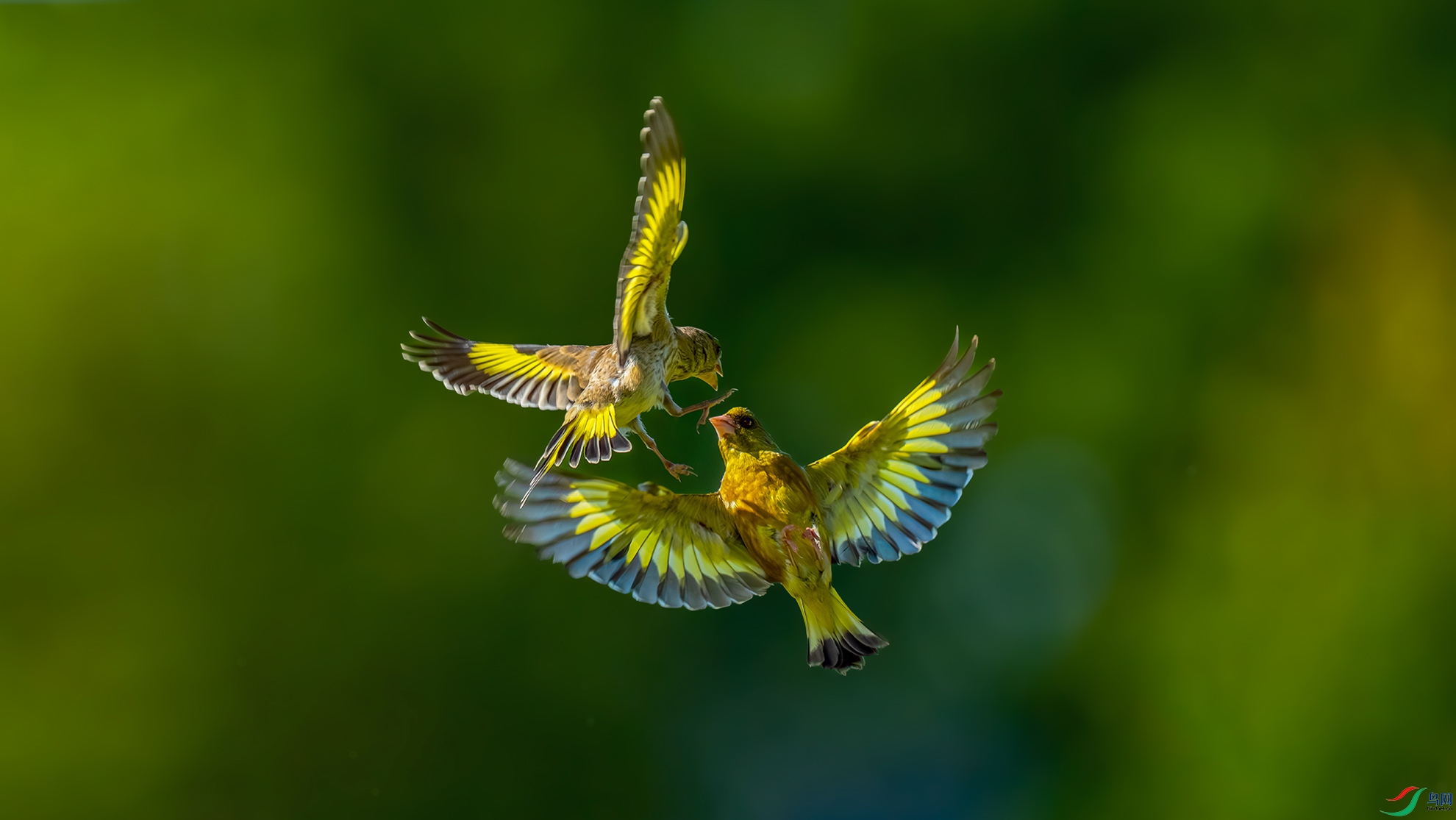 DSC02042-a.jpg
