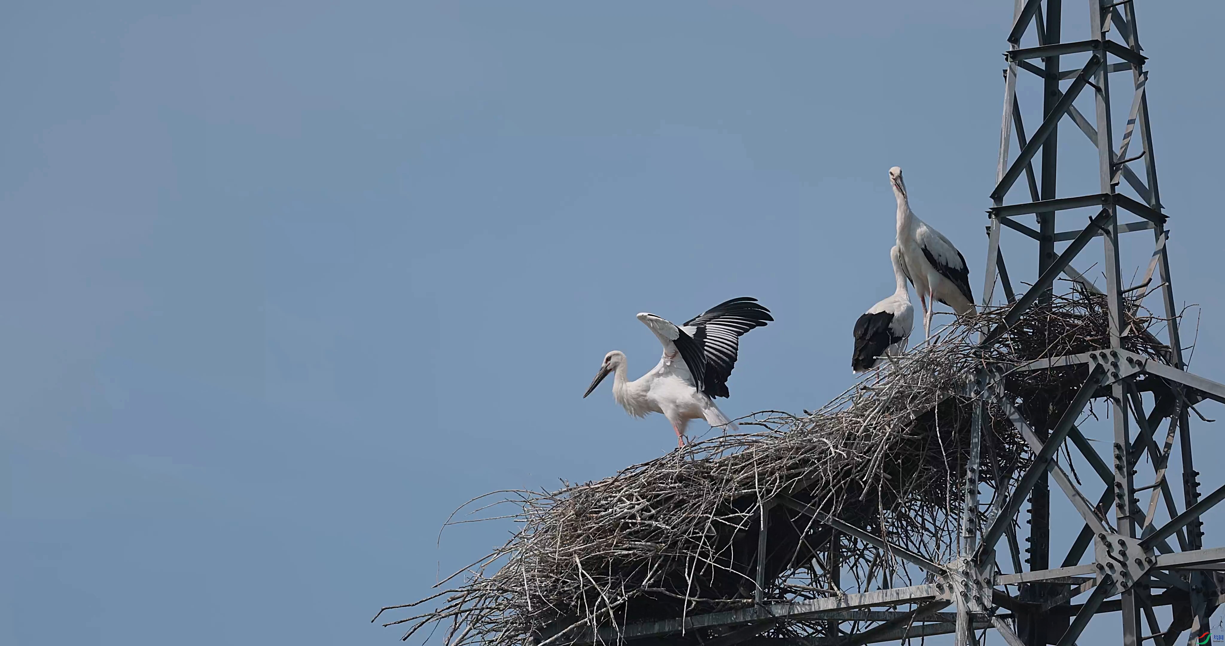 ��֡ 2025-07-23 165211_1.1.3.jpg