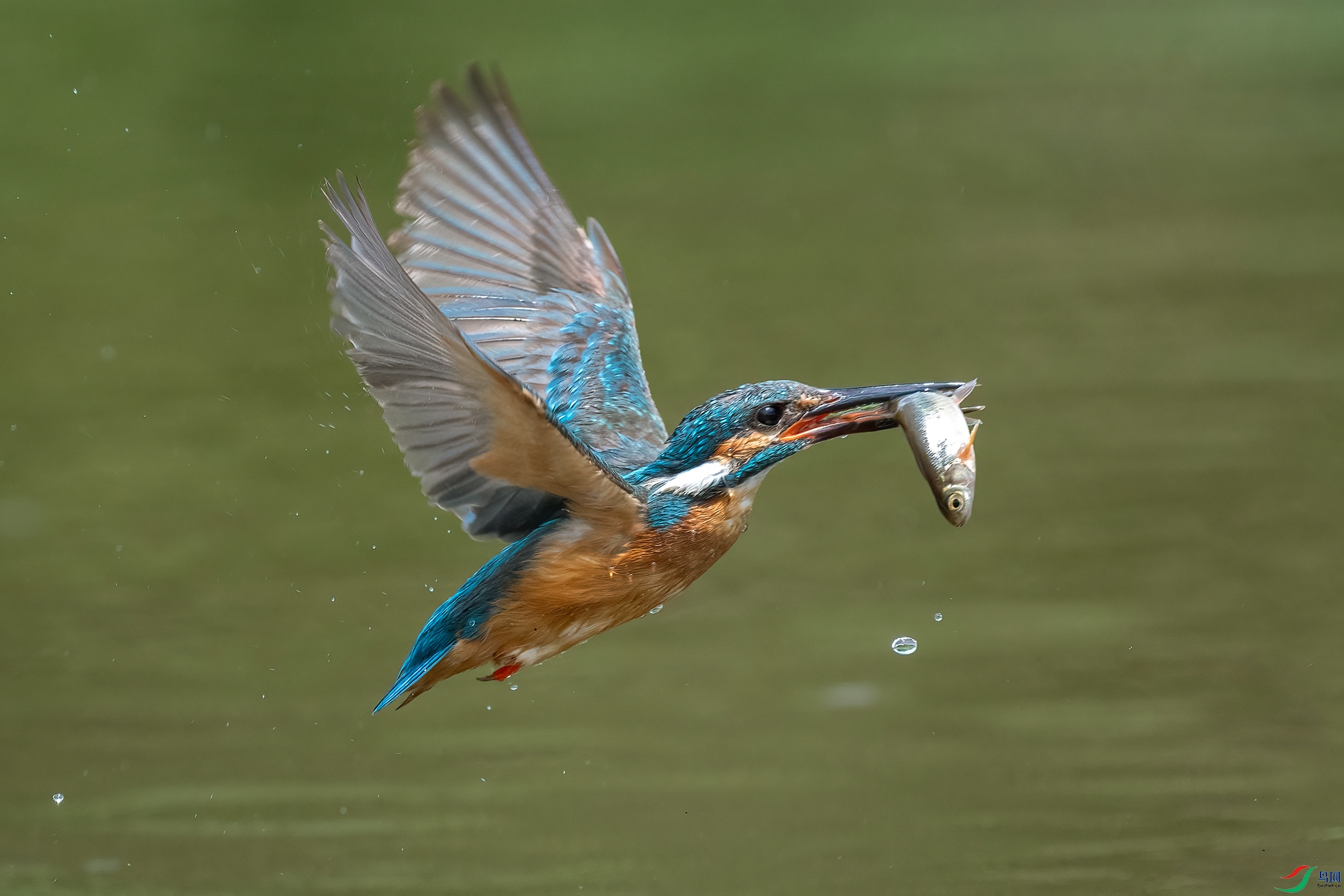 DSC_5384 V.jpg