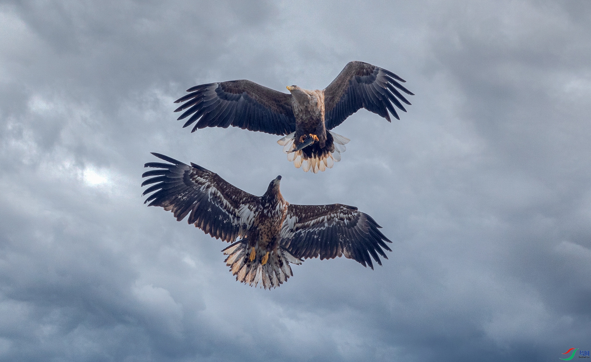 AK8I4478����  03.jpg