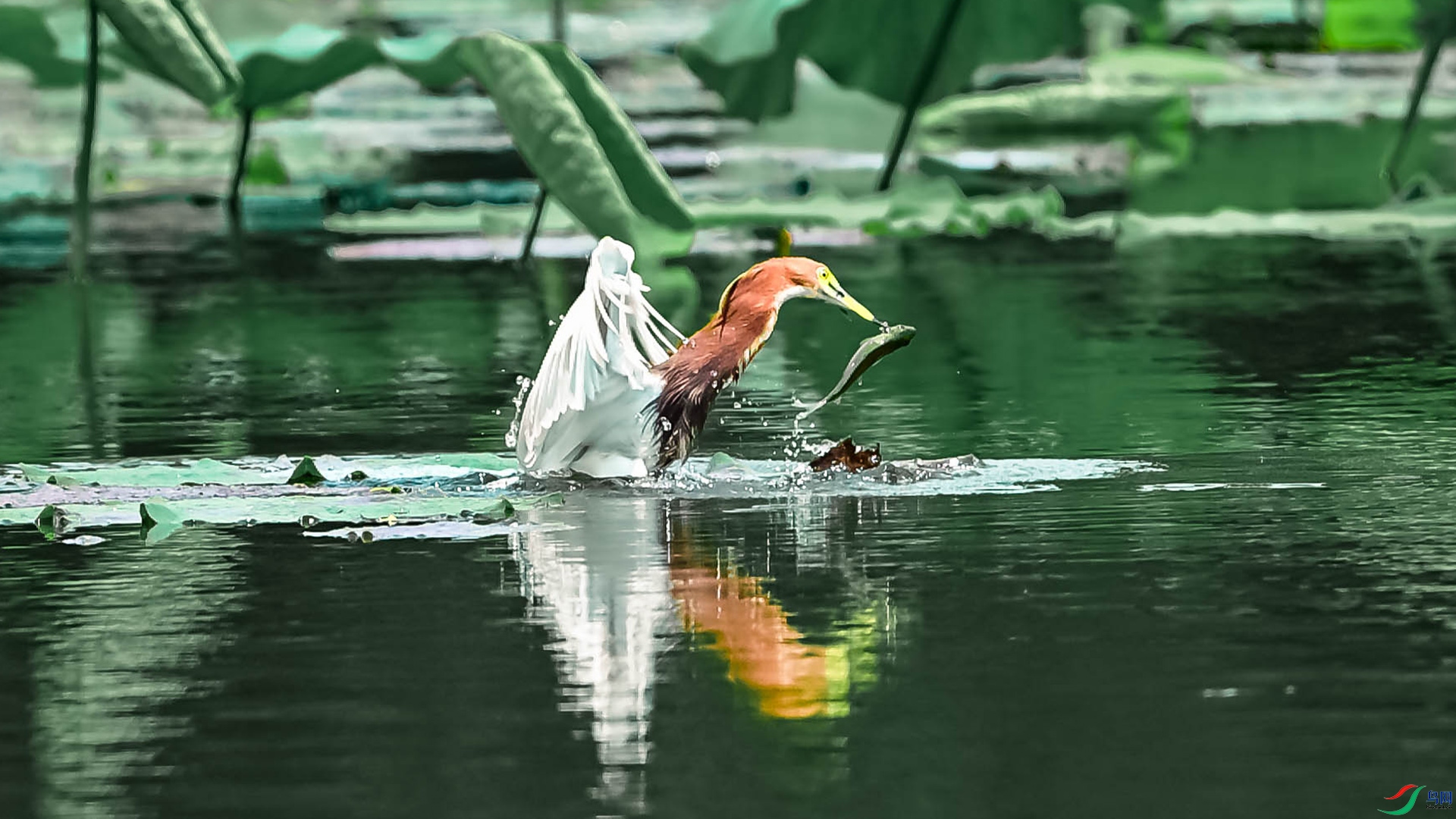 DSC_1389.jpg