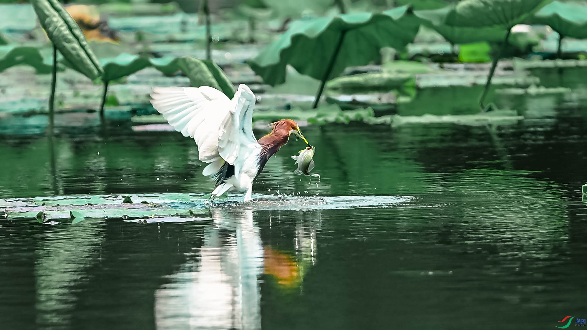 DSC_1416.jpg