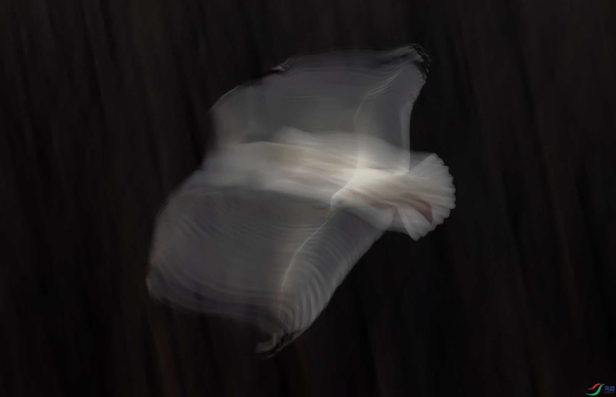 ��Ÿ