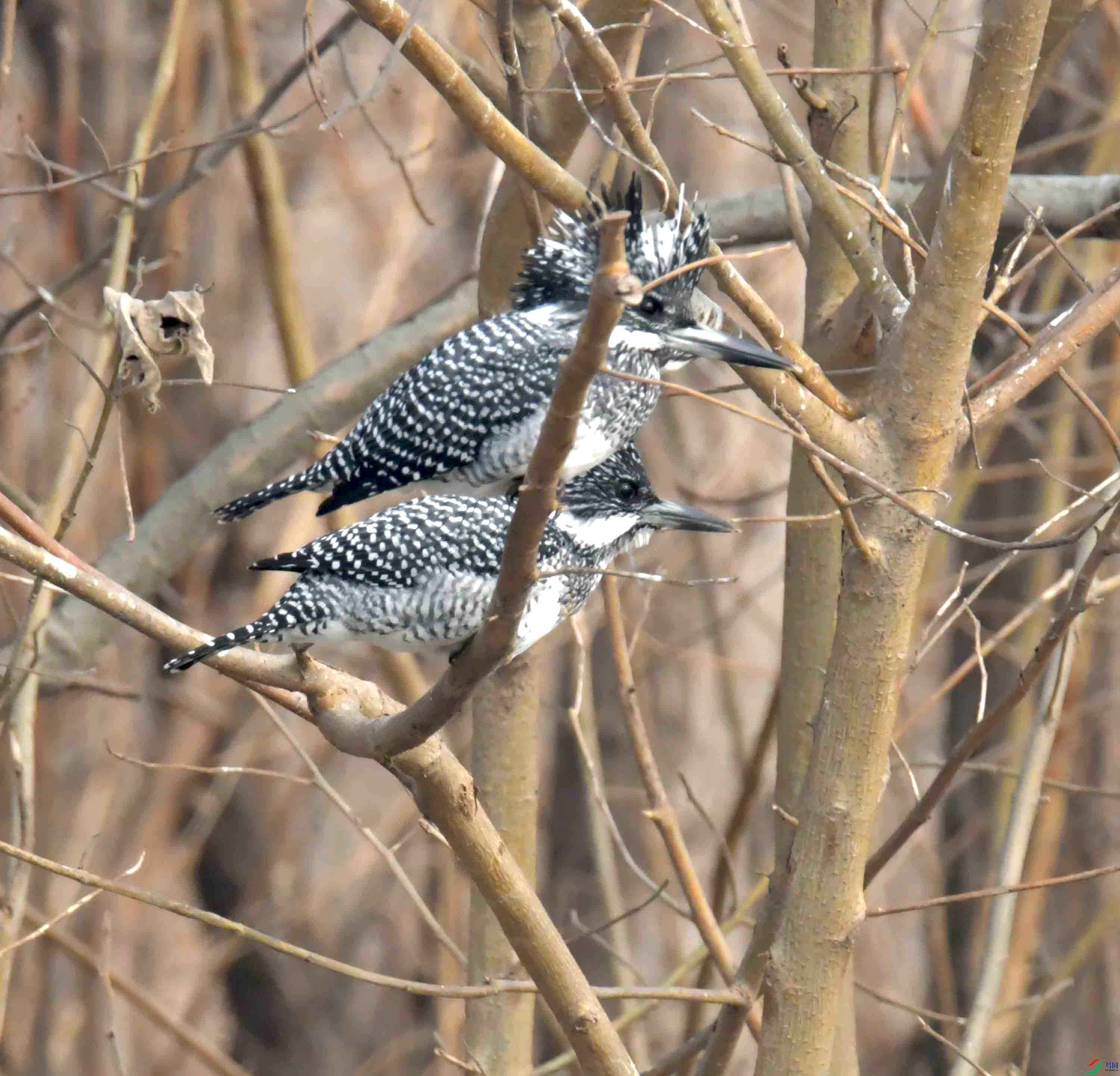 DSC_5503.JPG