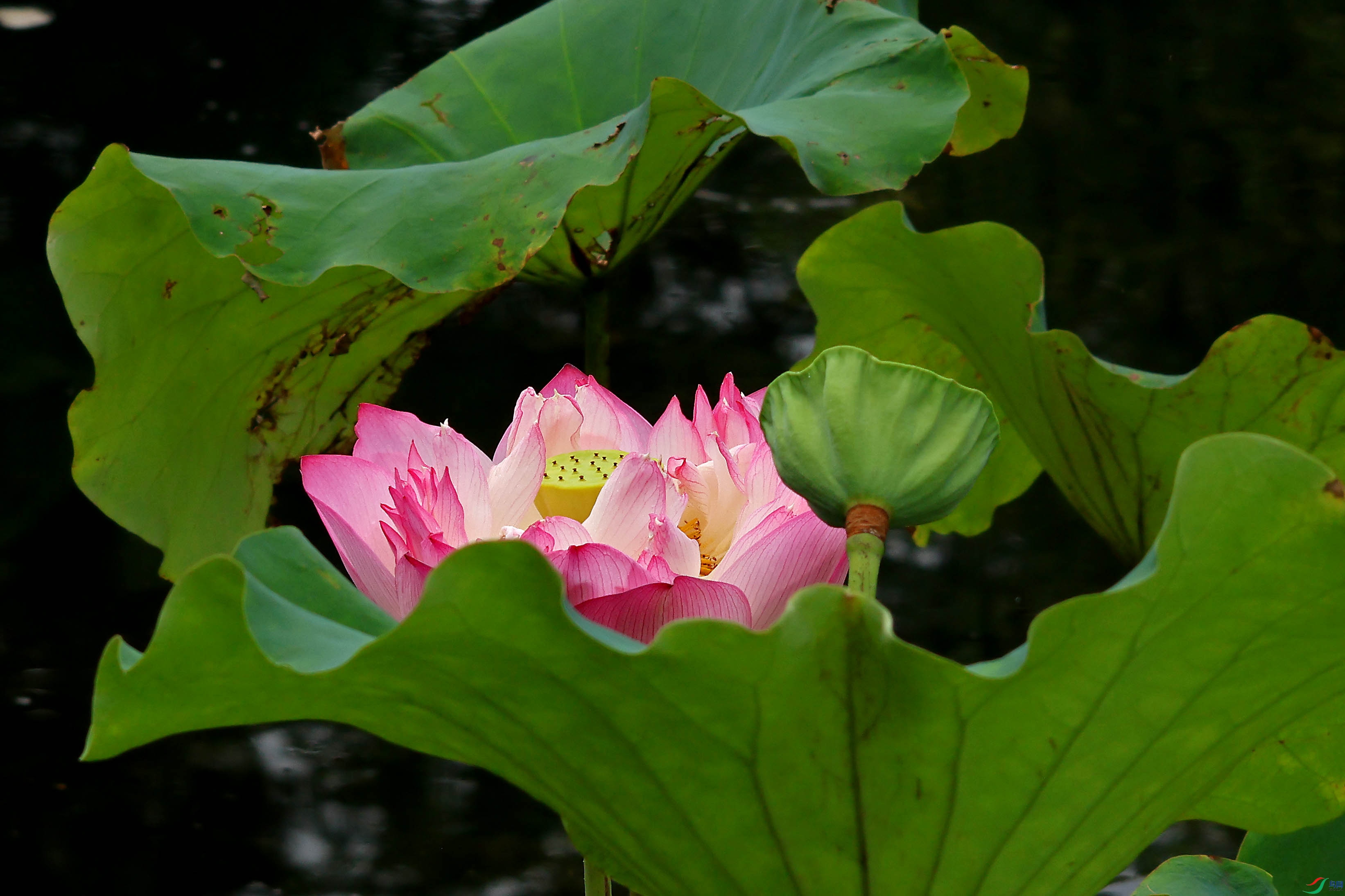 2G9A8199.JPG
