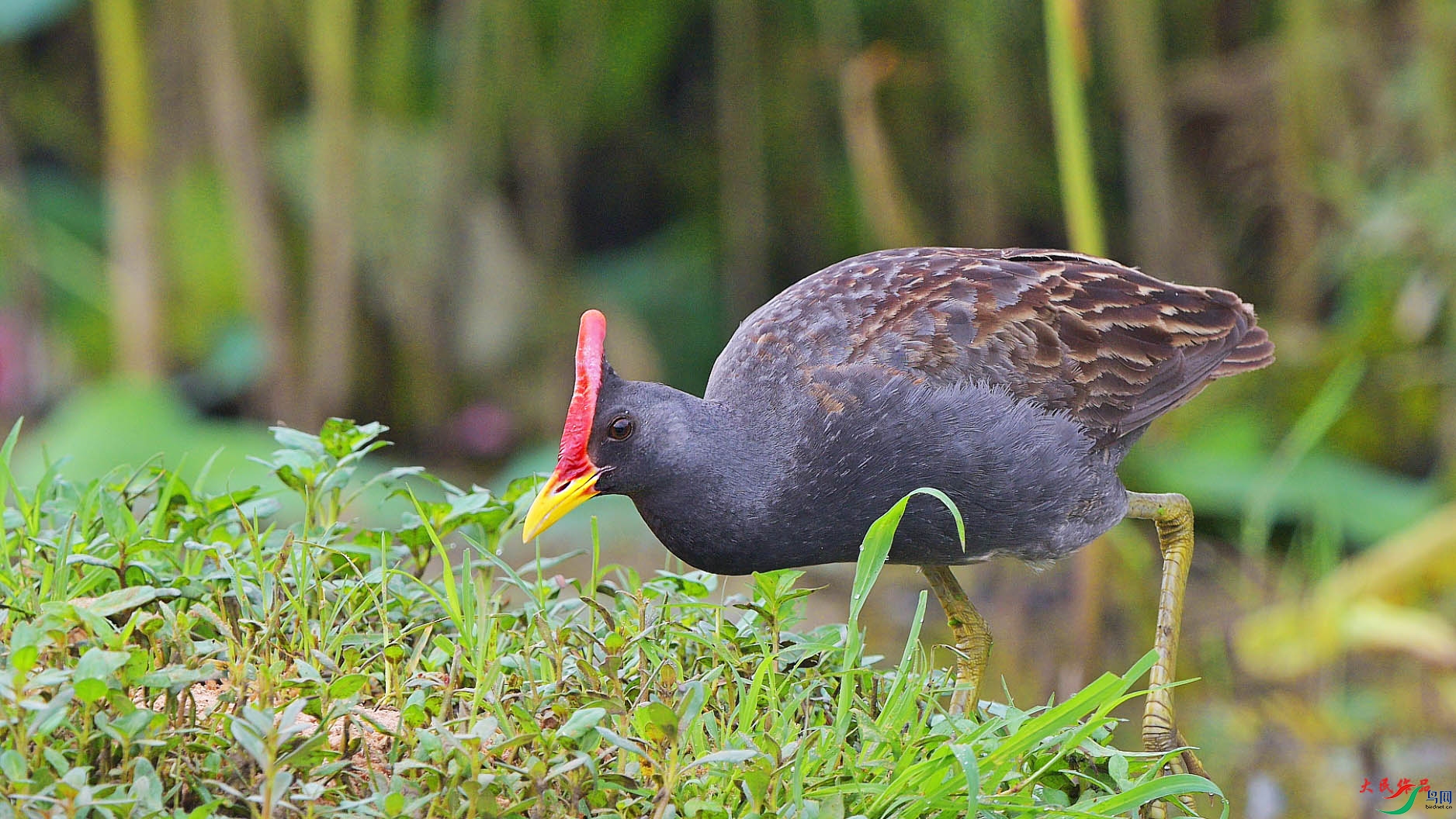 {BA834C84-2970-418A-9975-4646C47101B4} ����.jpg