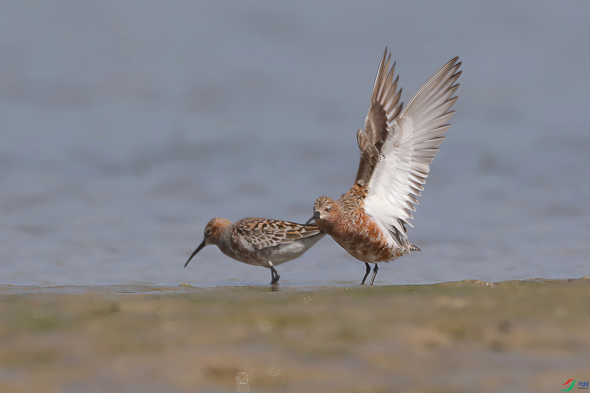 151A0807-001 (1).JPG