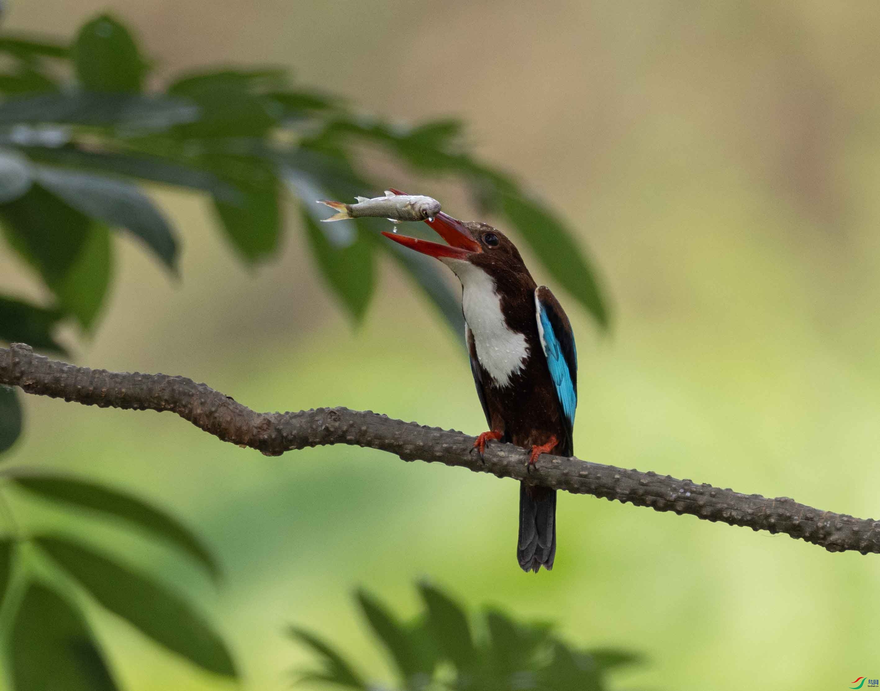 1-xt4L2A1315 ����.jpg