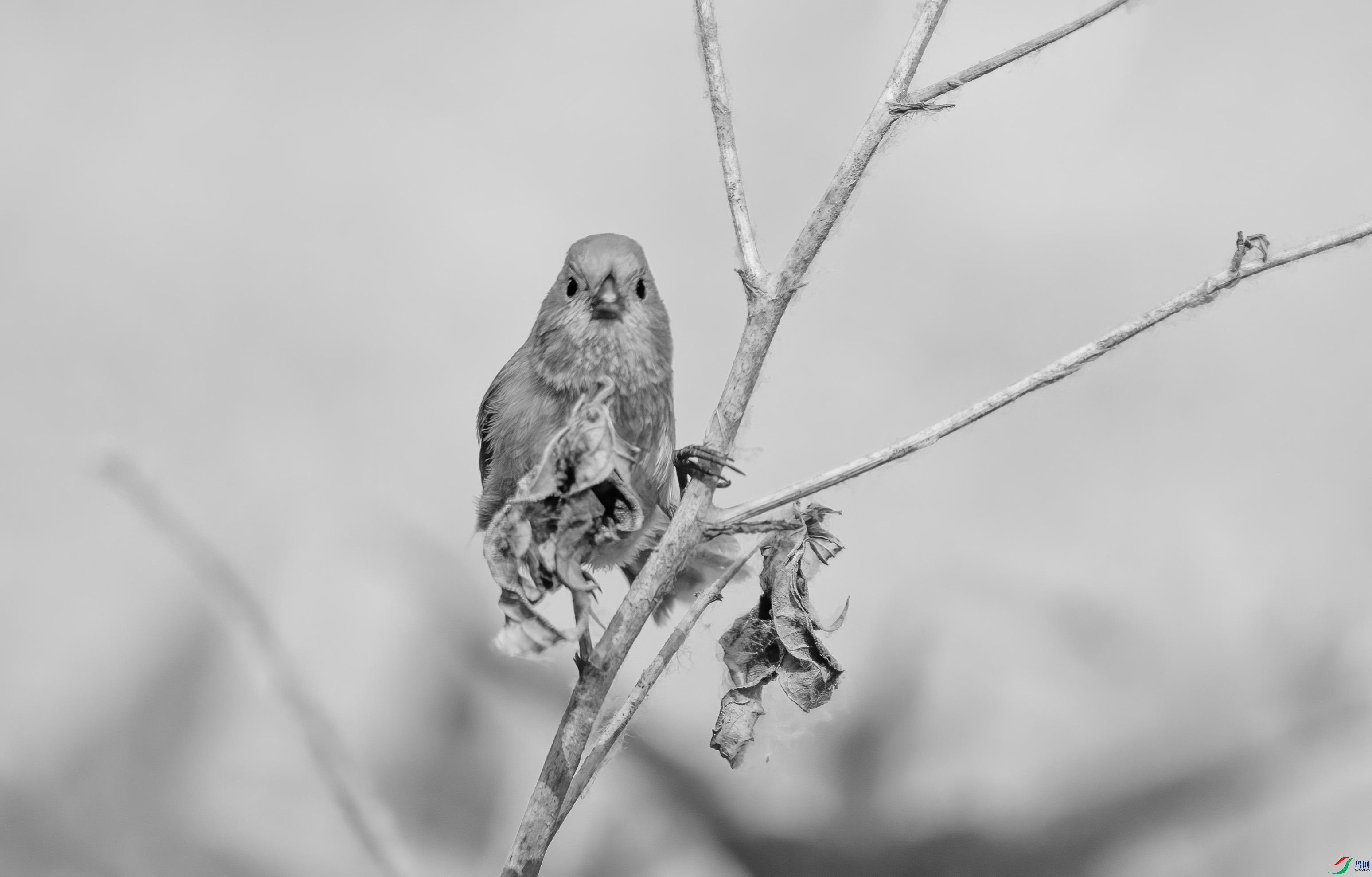 DSC01050 ����.jpg