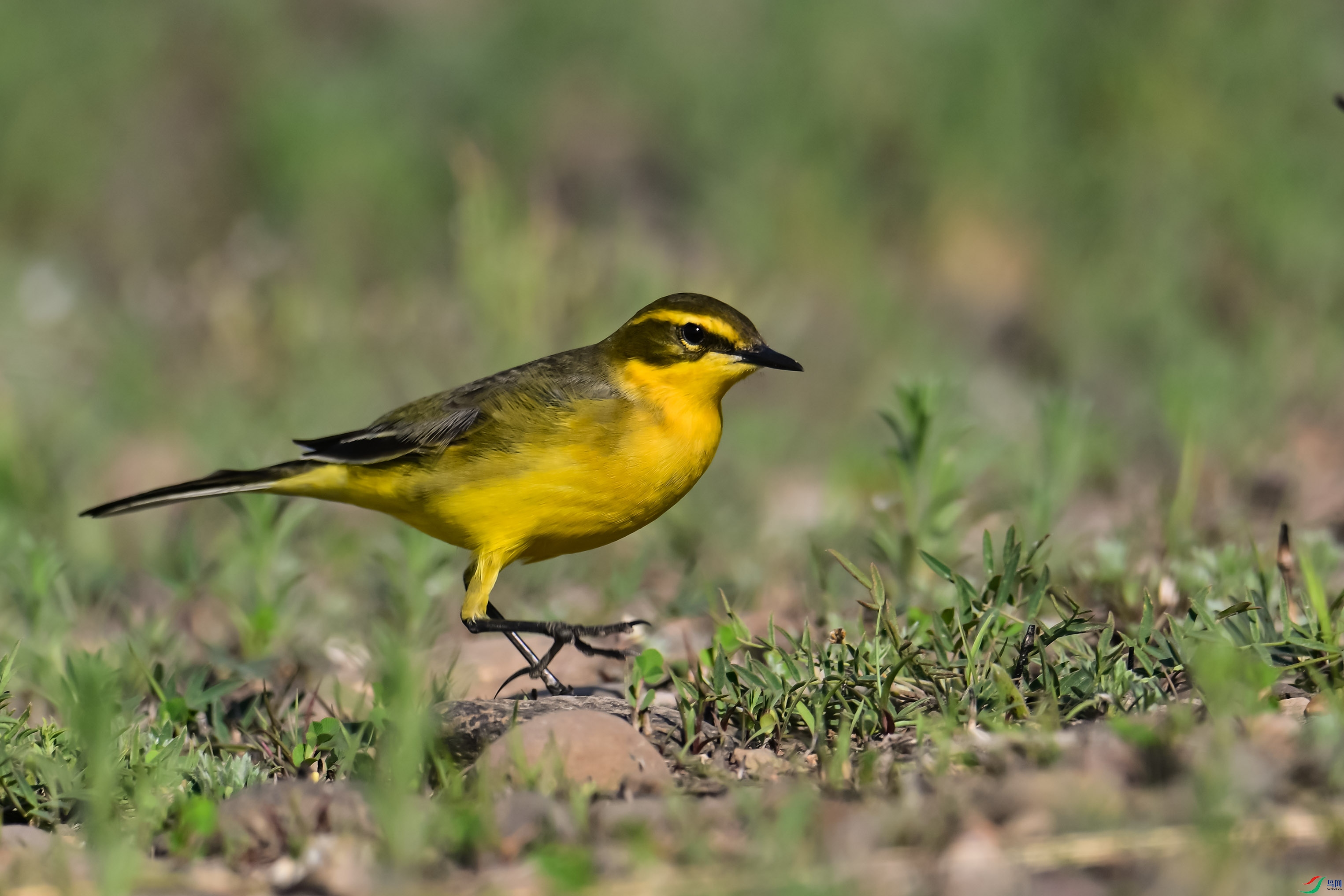 DSC_3804.jpg