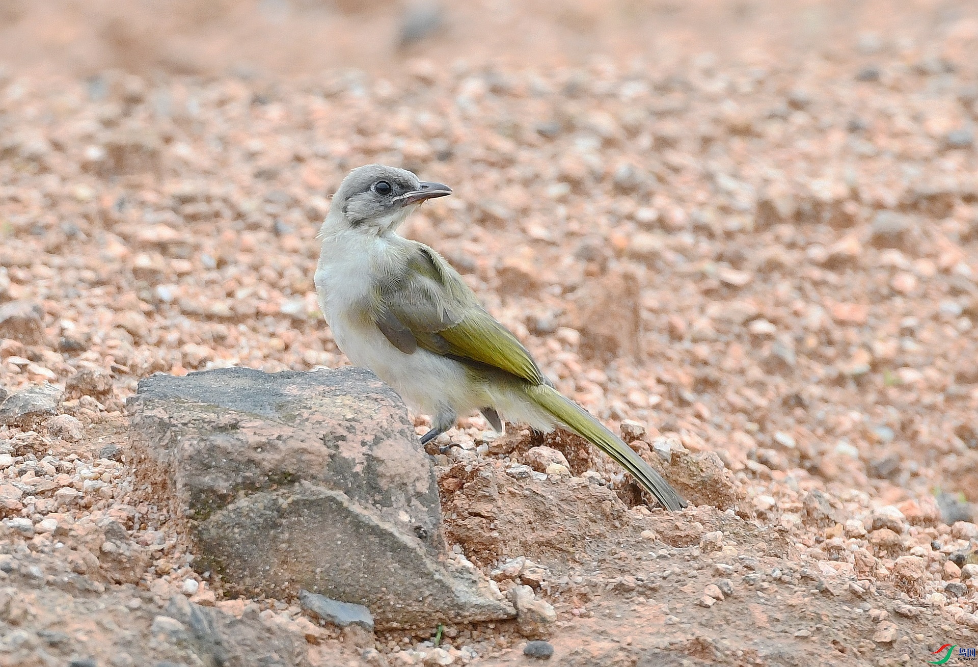 DSC_5751.jpg