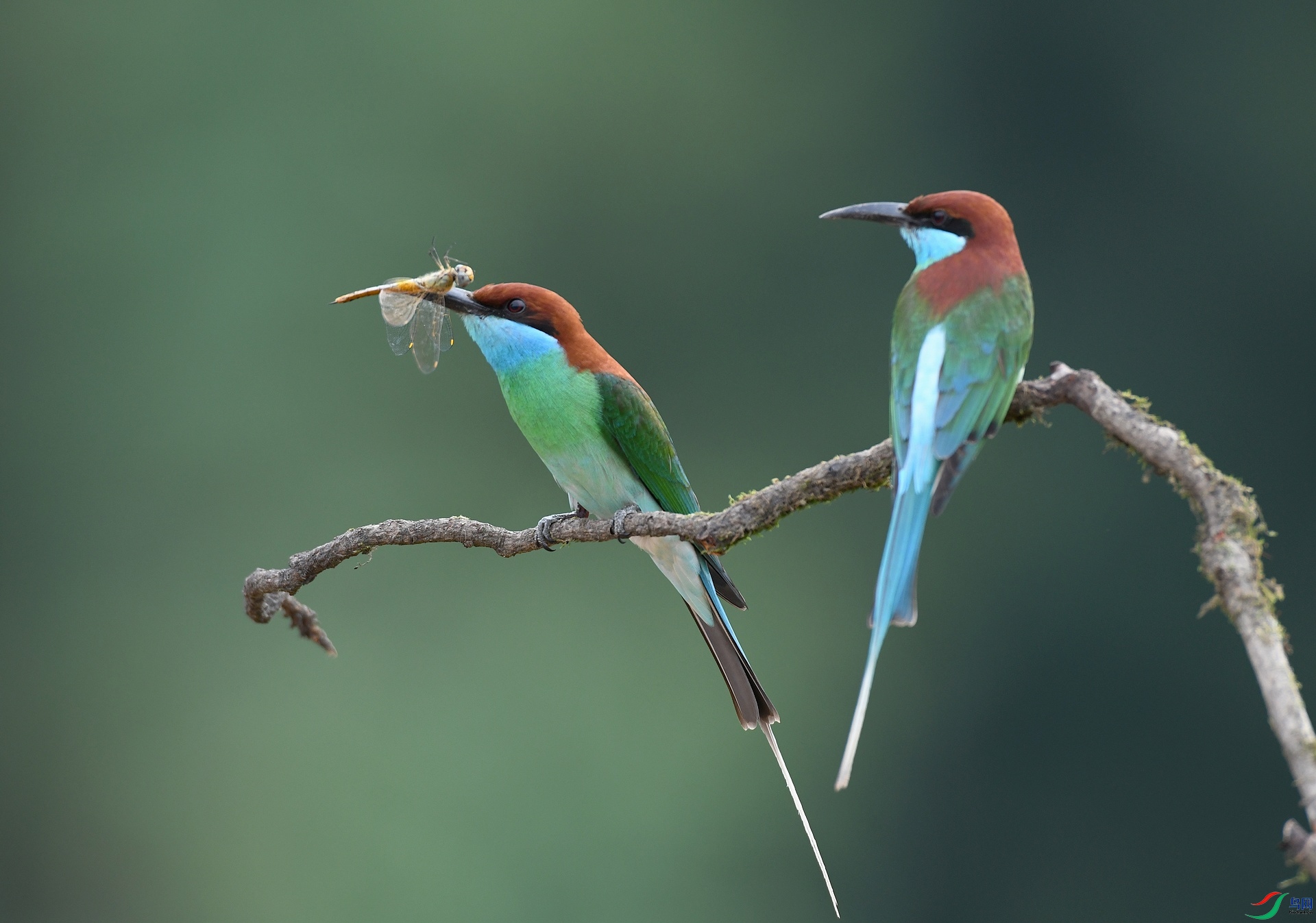 DSC_5664.jpg