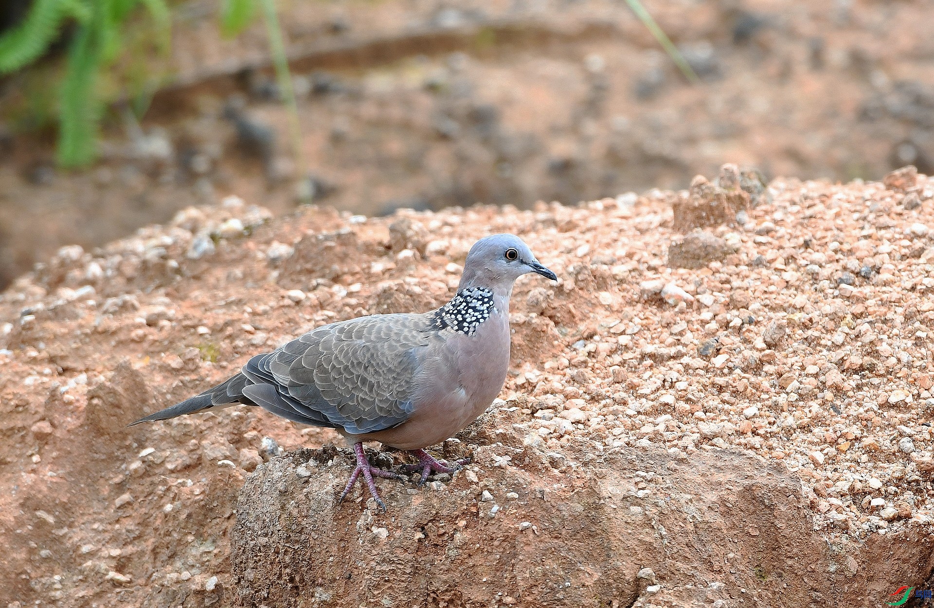 DSC_5660.jpg