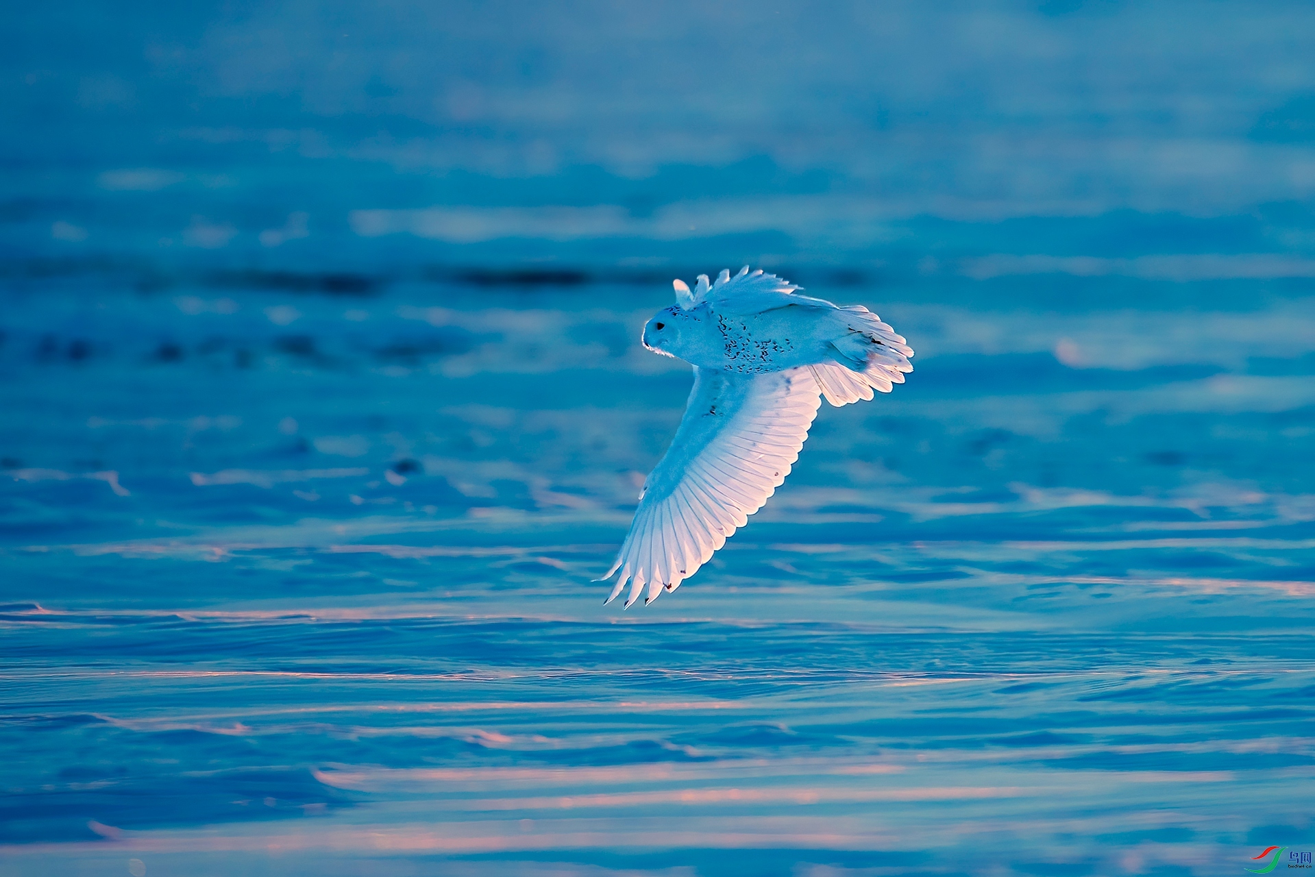 DX3W0252-5.jpg