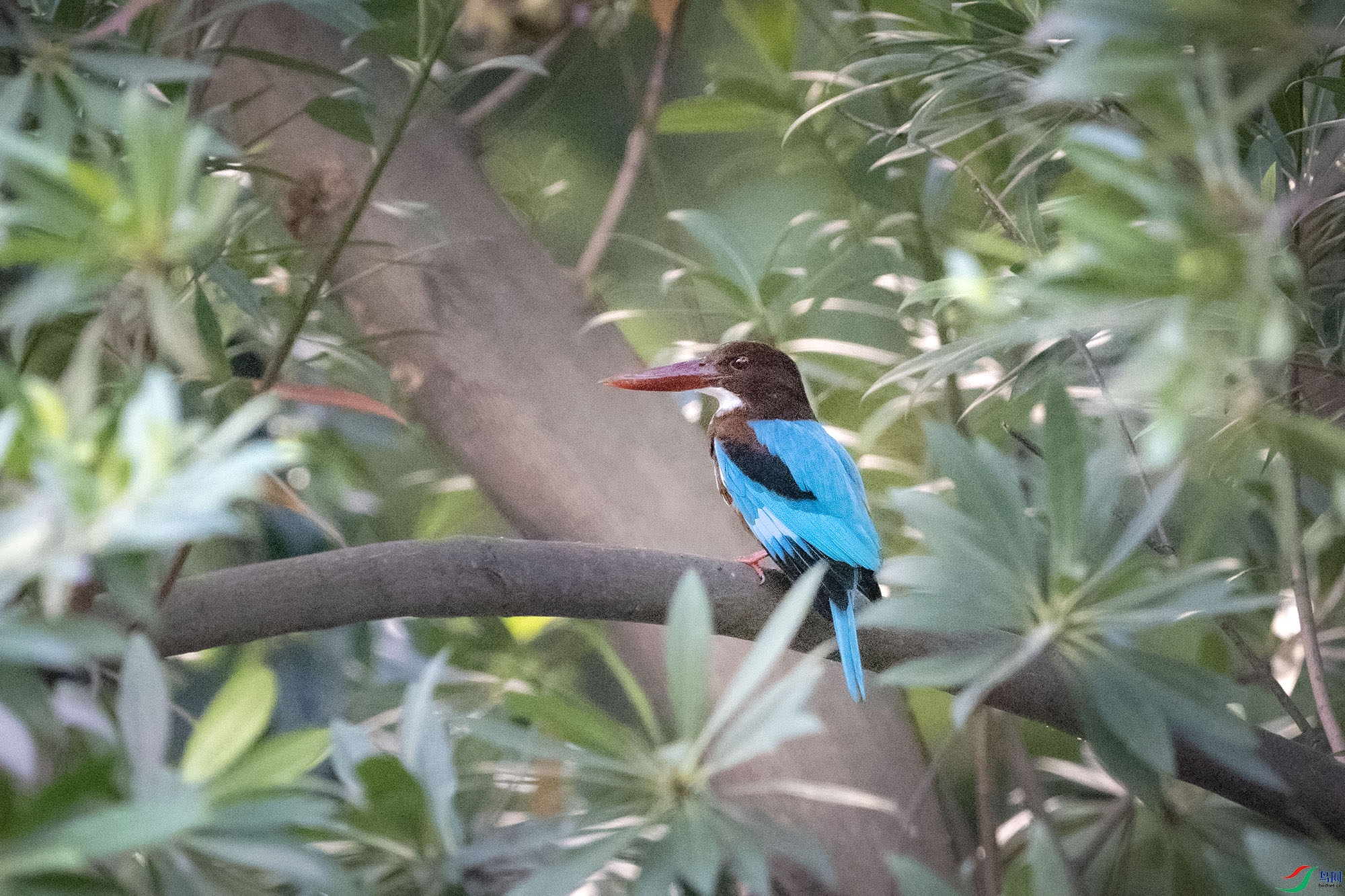 DSC_8749.jpg