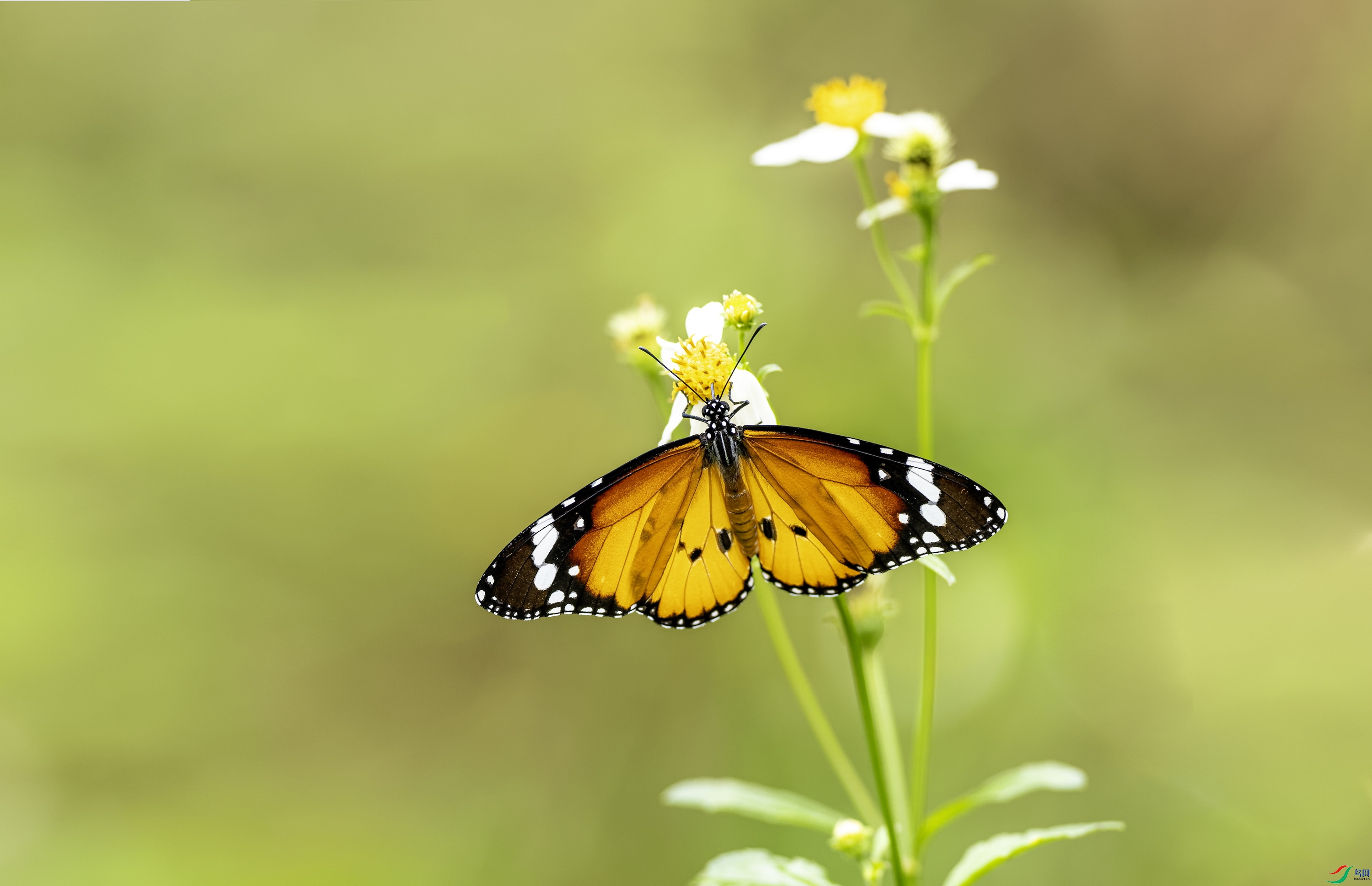 ��ߵ� (3)-01.jpg