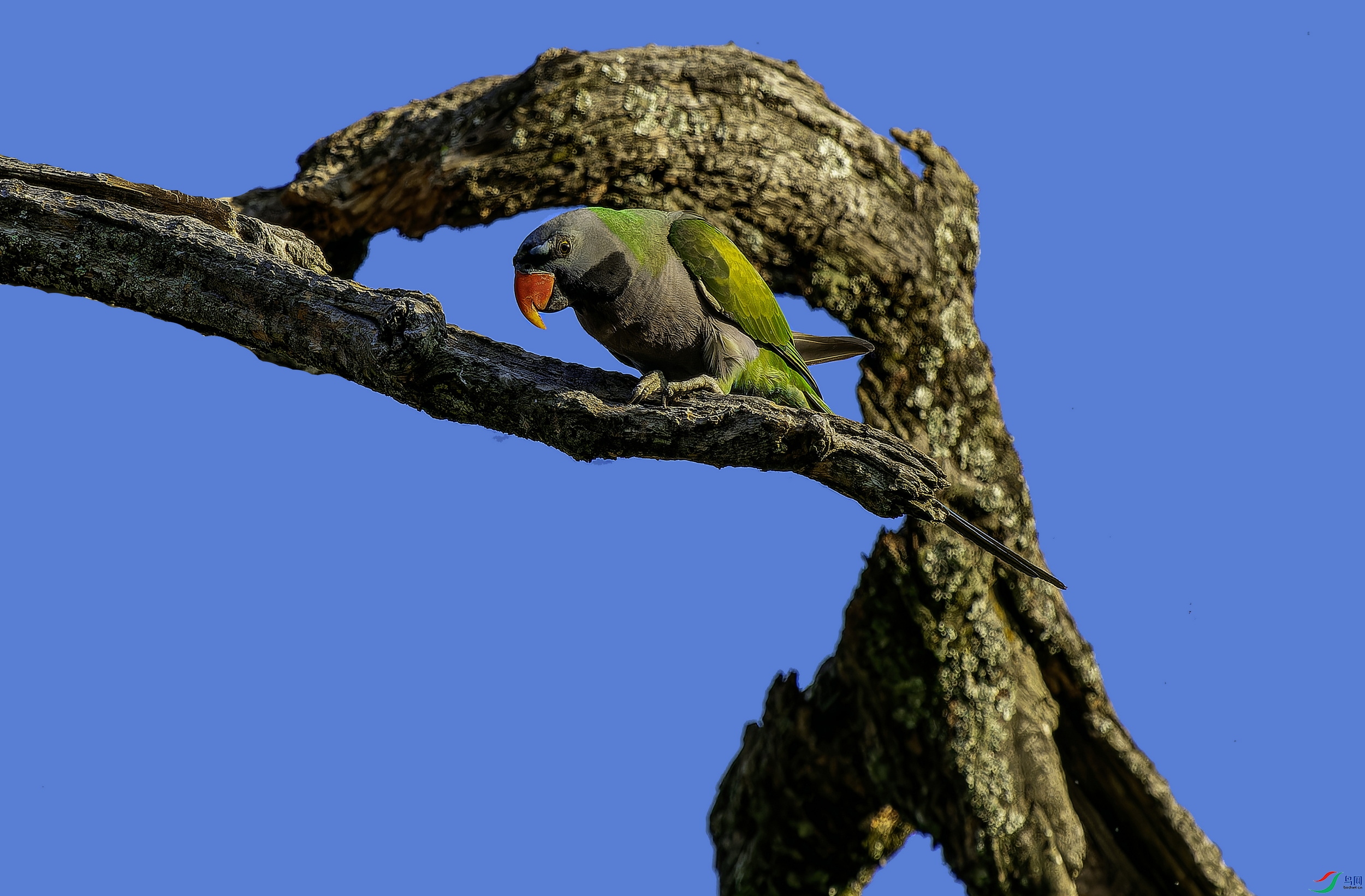 ���������� (13)-01.jpg